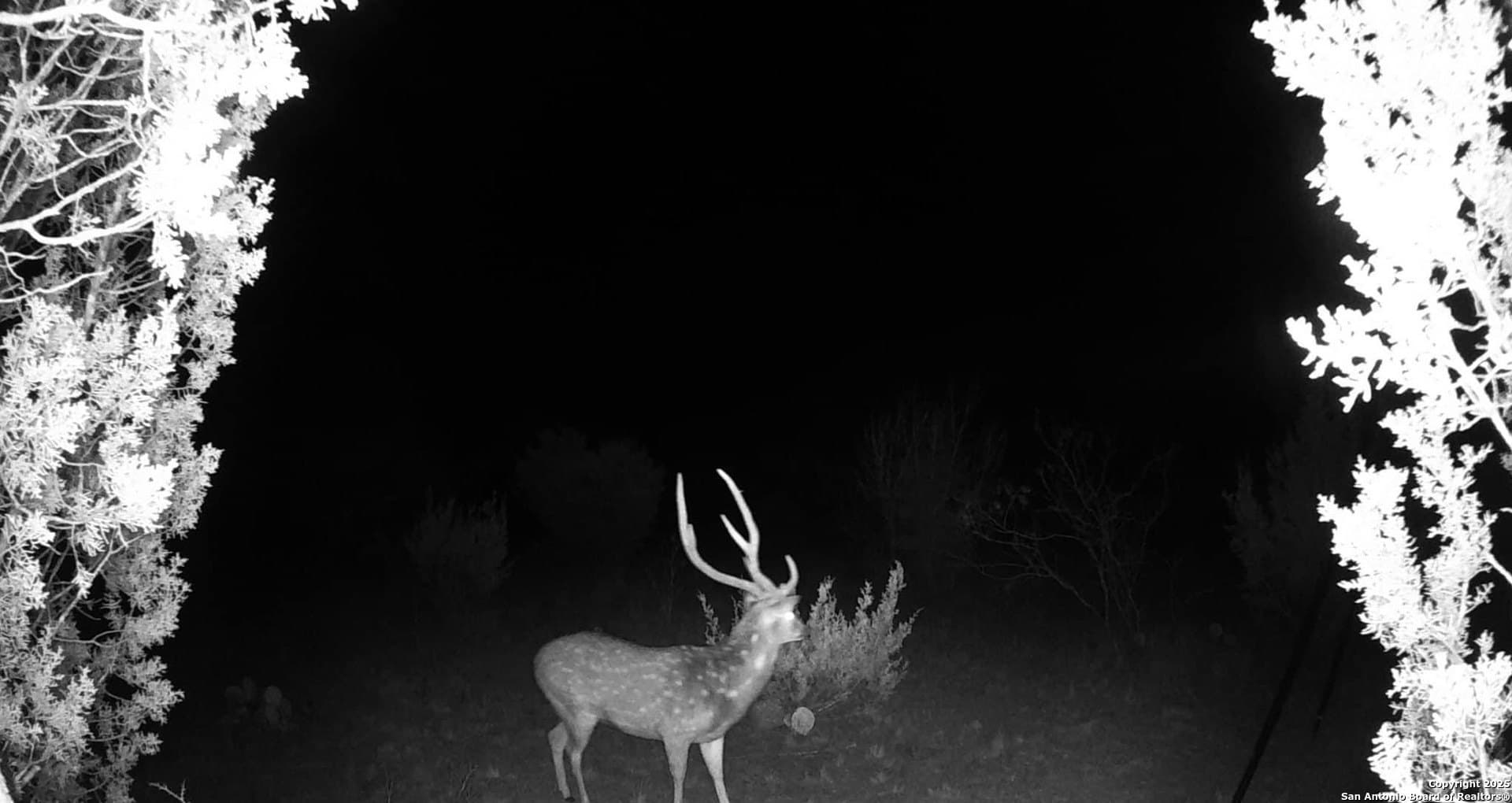 25.47 acres in Edwards County