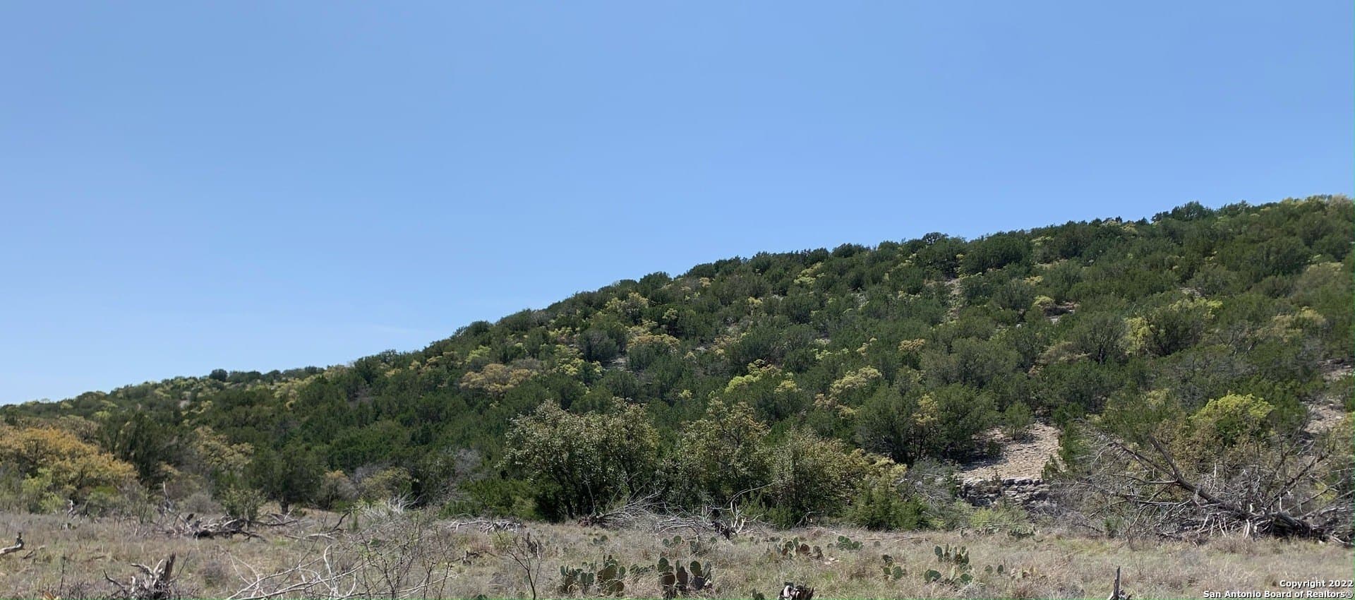 25.47 acres in Edwards County gallery image 3