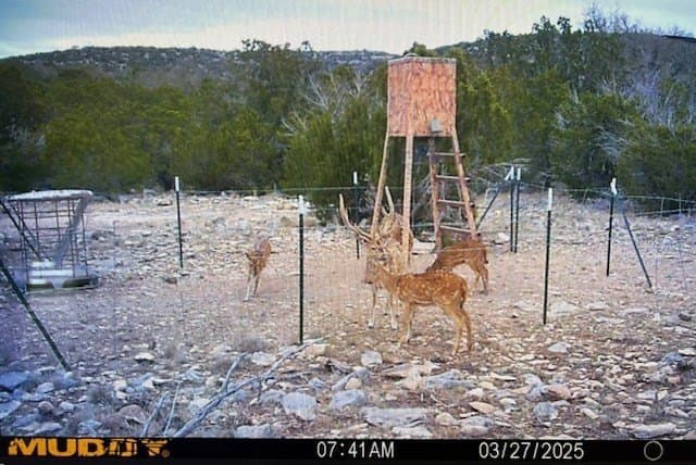 75.6 acres in Edwards County gallery image 2