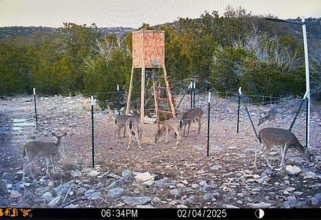 75.6 acres in Edwards County gallery image 3