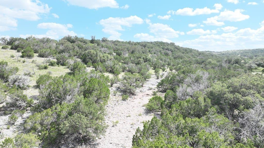 75.6 acres in Edwards County gallery image 4