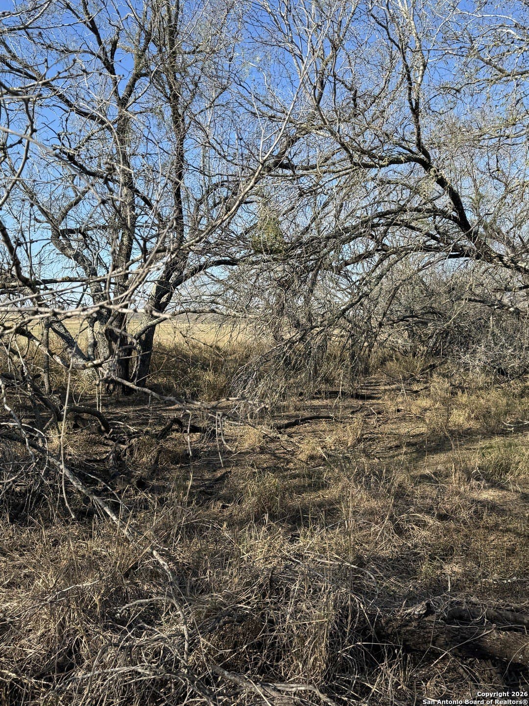22 acres in Atascosa County - photo 29