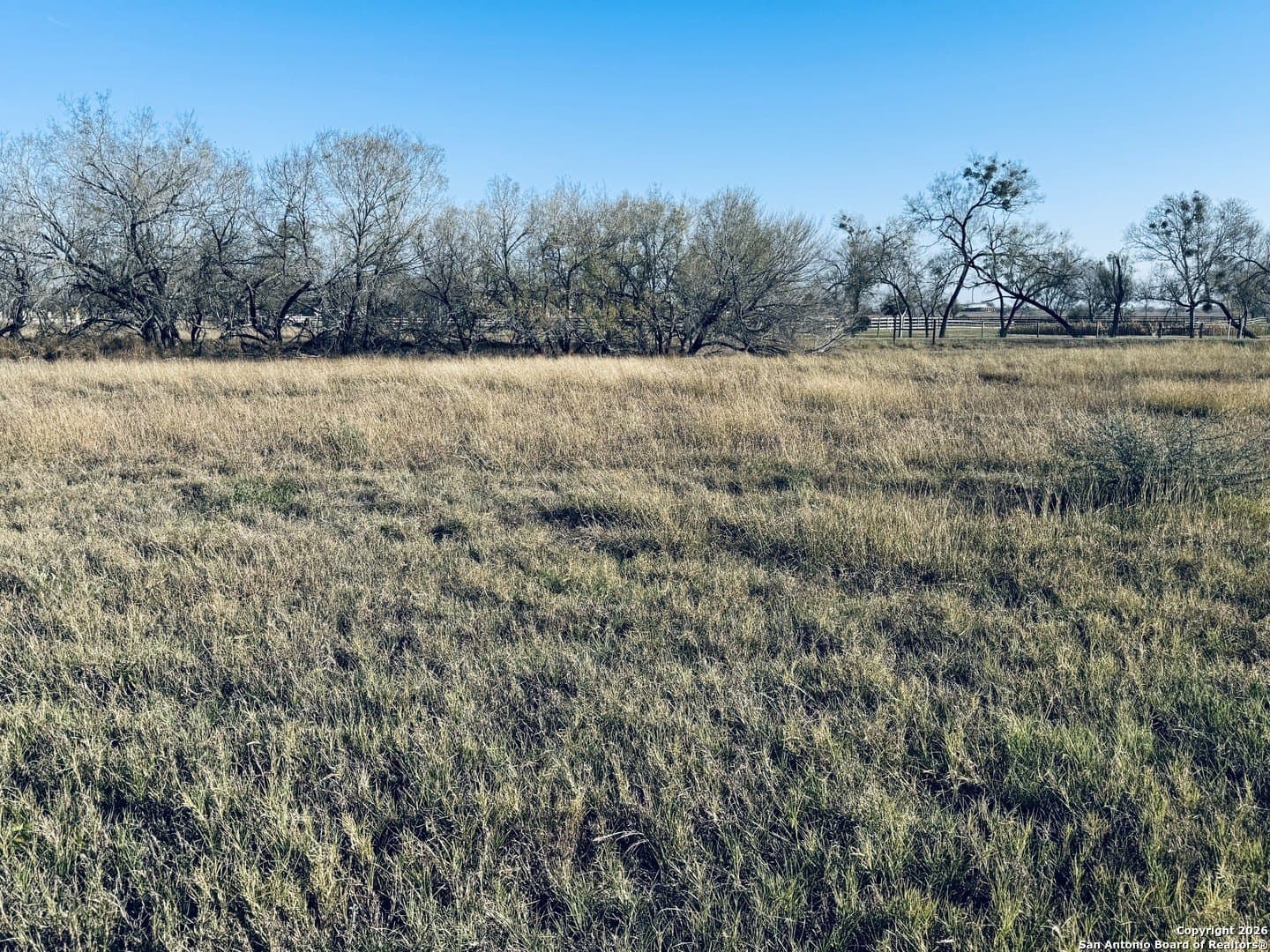 22 acres in Atascosa County - photo 32
