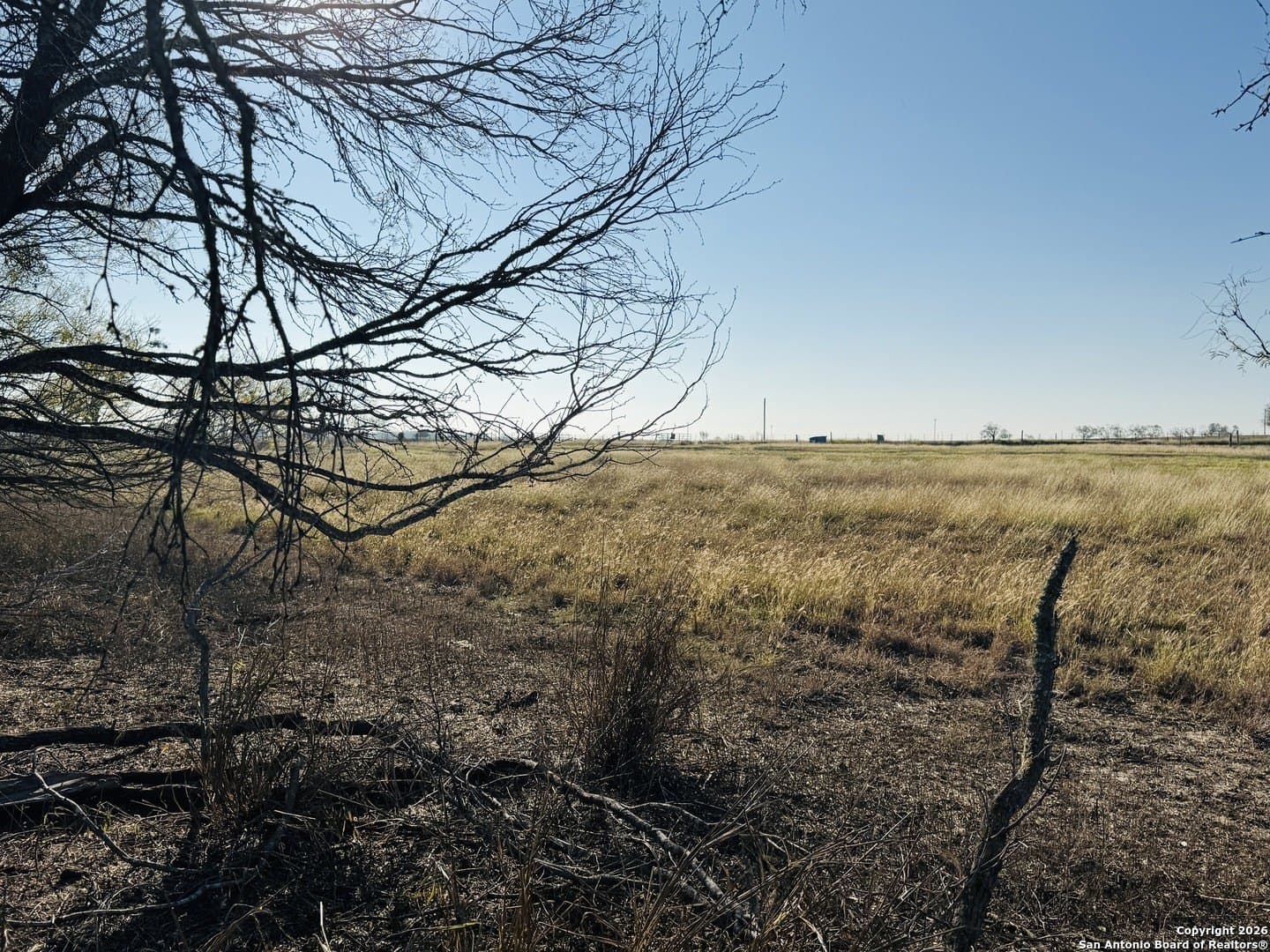22 acres in Atascosa County - photo 26
