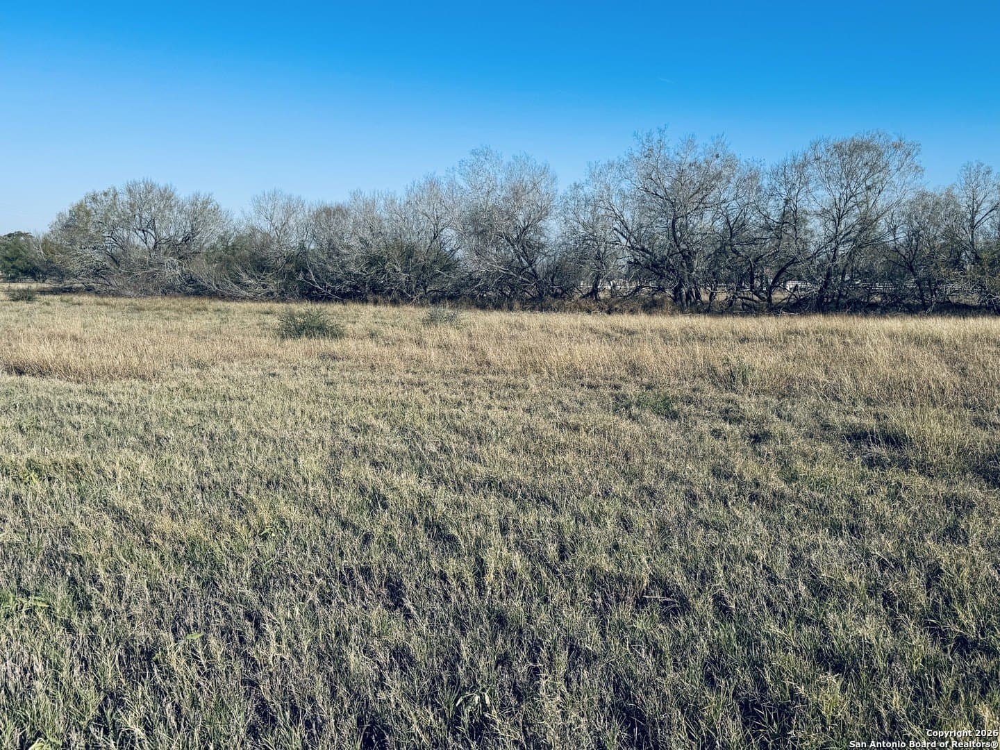 22 acres in Atascosa County gallery image 3