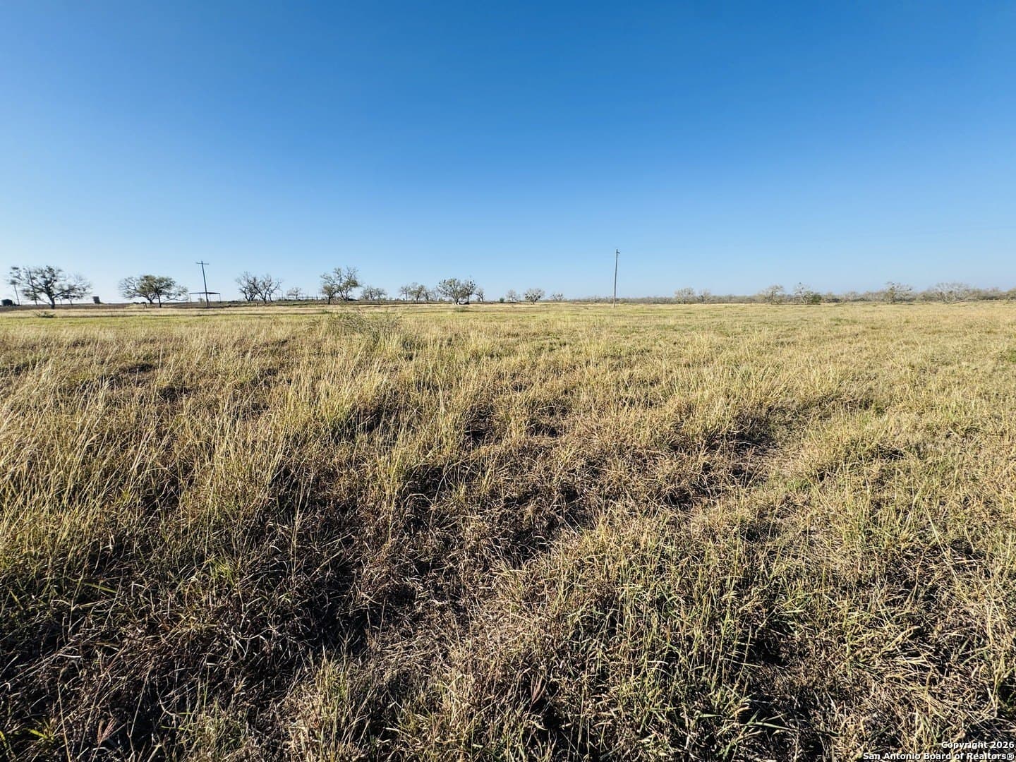 22 acres in Atascosa County gallery image 2