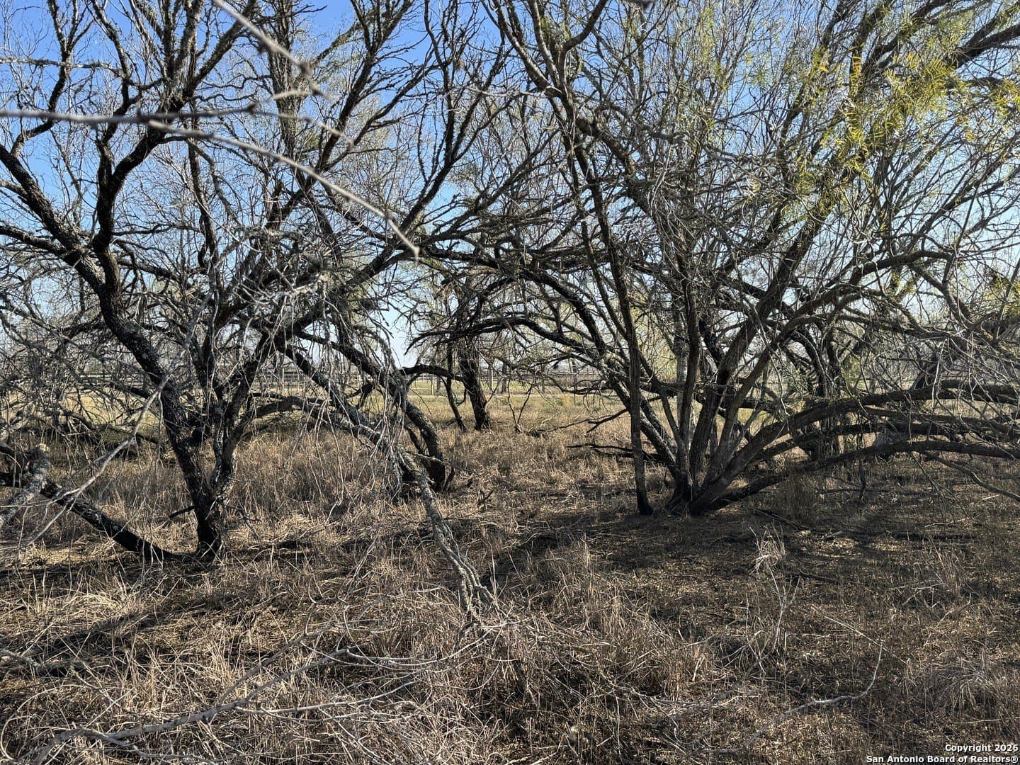 22 acres in Atascosa County - photo 31