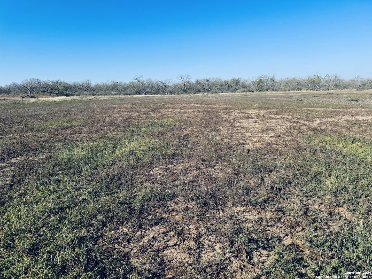 22 acres in Atascosa County - photo 15