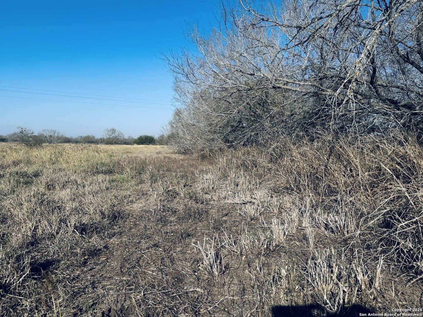 22 acres in Atascosa County - photo 24