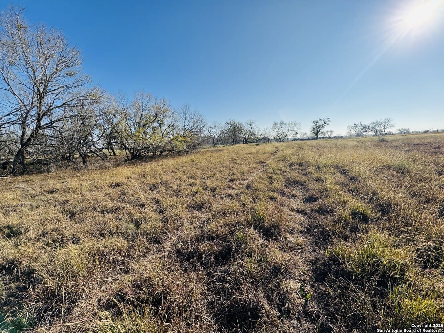 22 acres in Atascosa County - photo 23