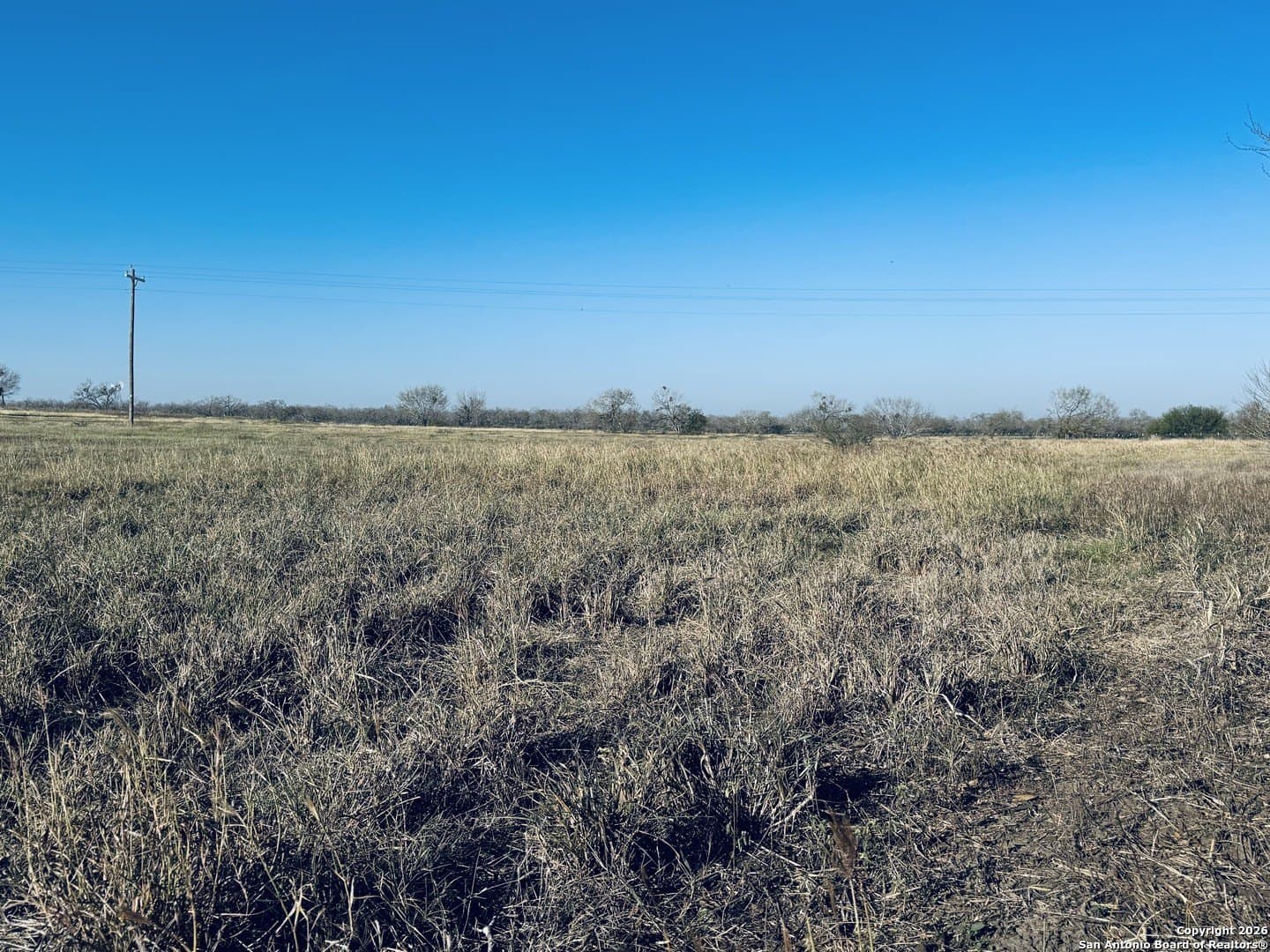 22 acres in Atascosa County - photo 25