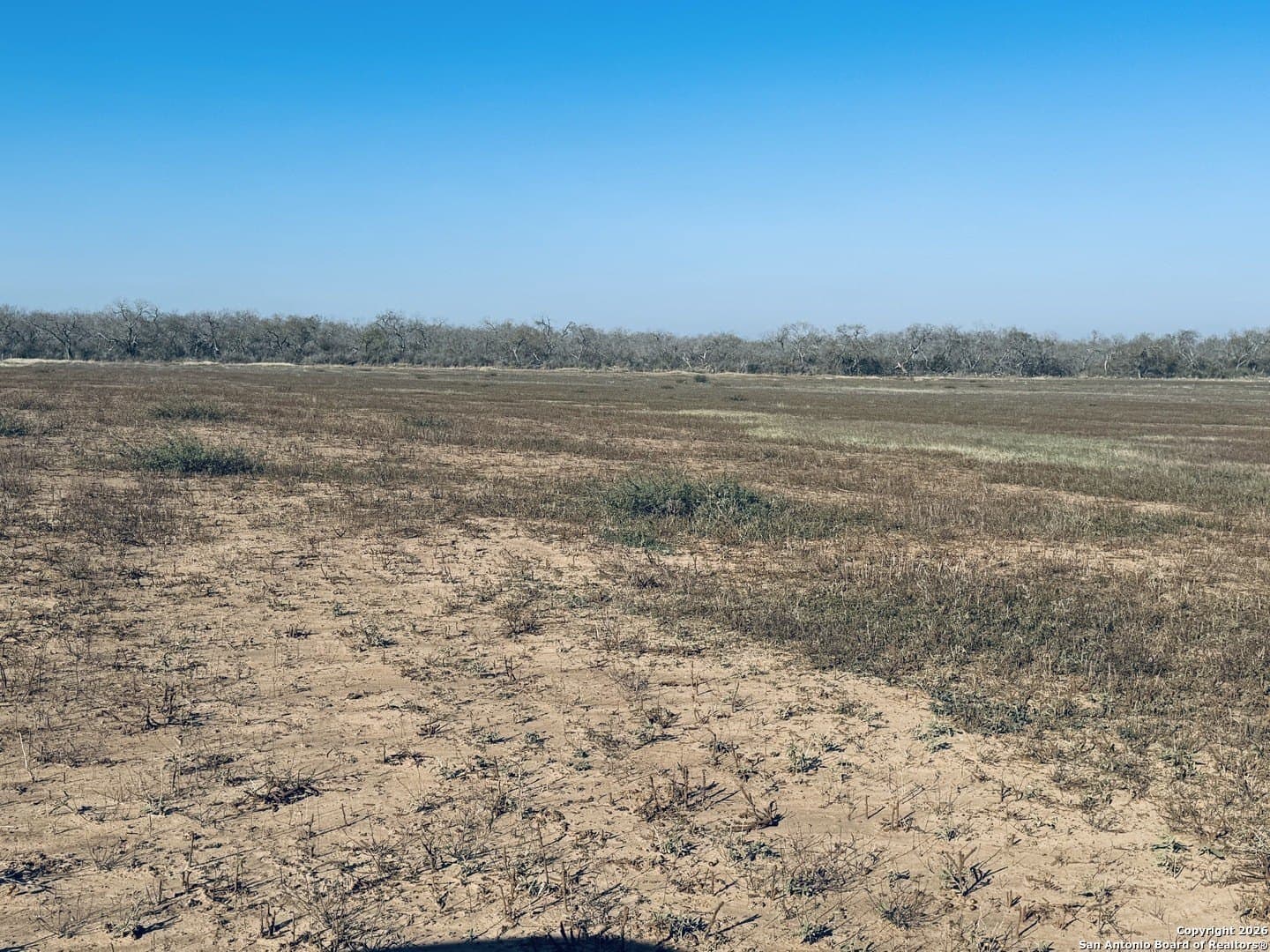 22 acres in Atascosa County - photo 17