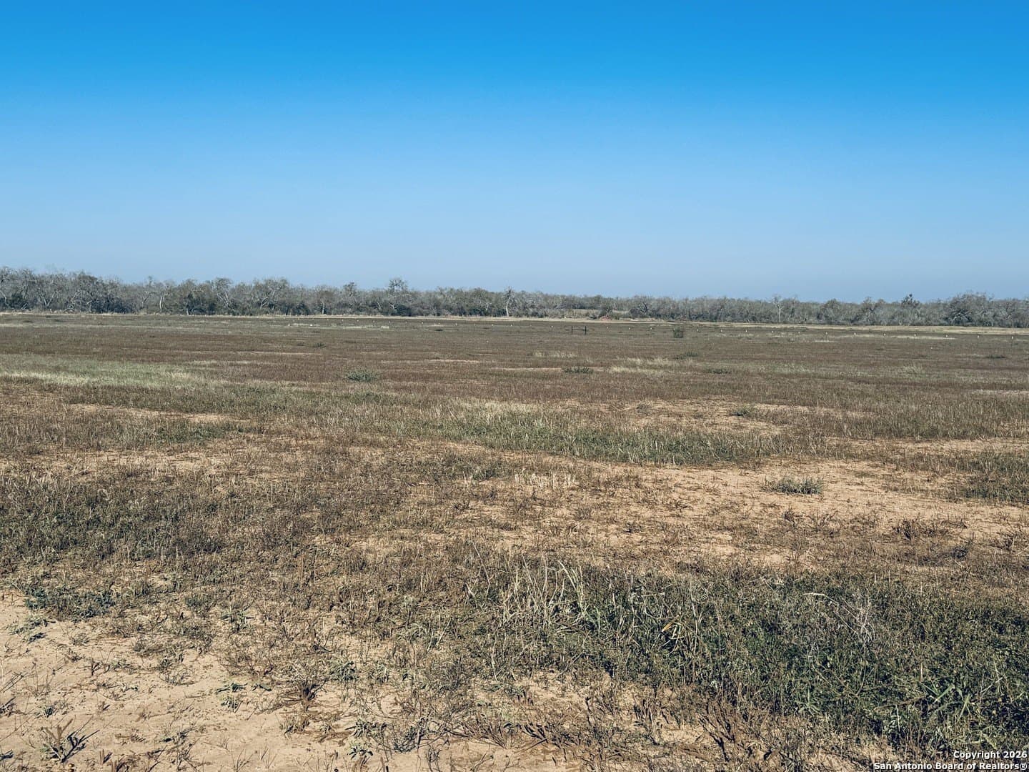 22 acres in Atascosa County - photo 18