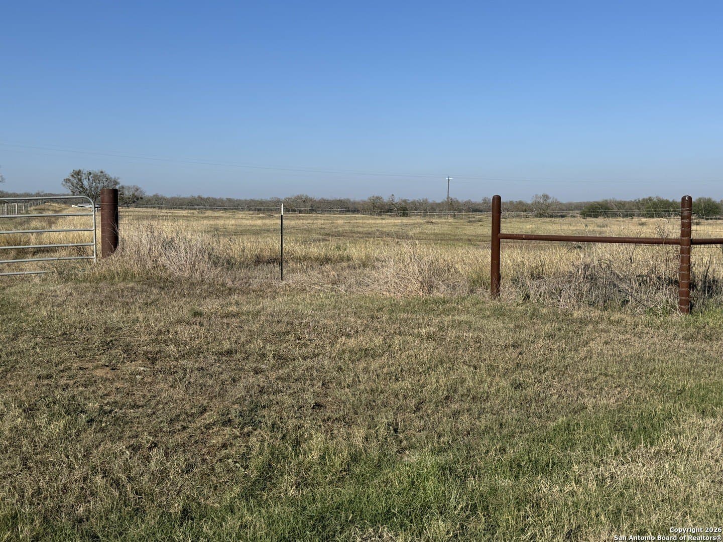 22 acres in Atascosa County - photo 10