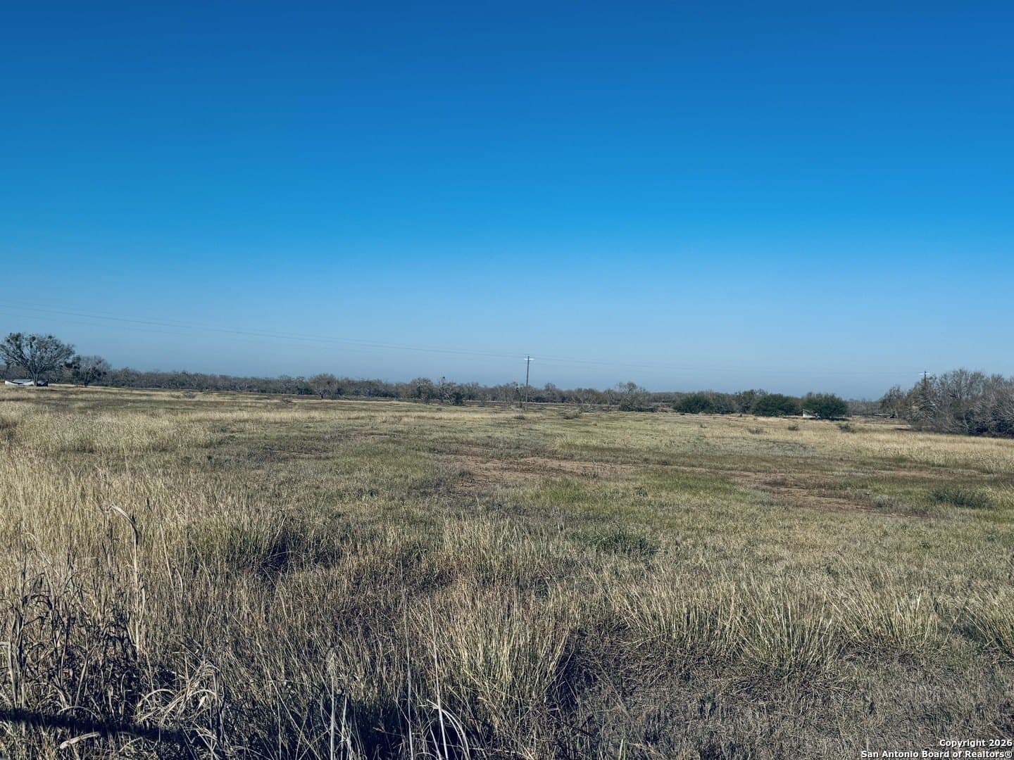 22 acres in Atascosa County - photo 34