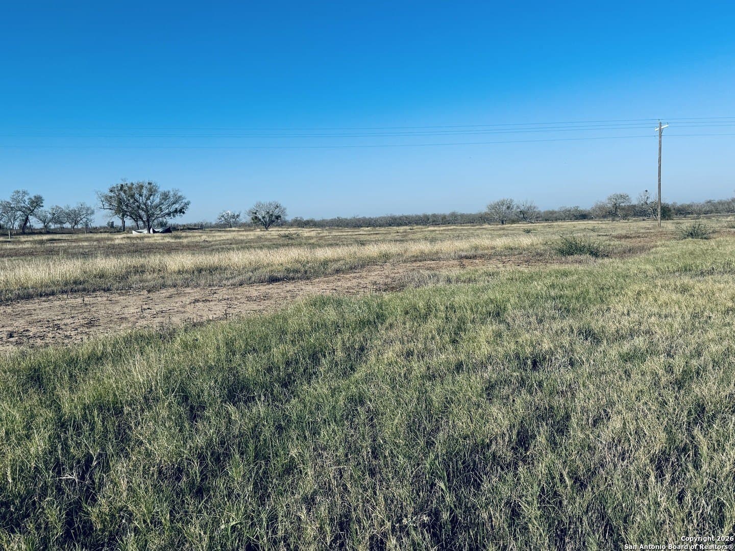 22 acres in Atascosa County