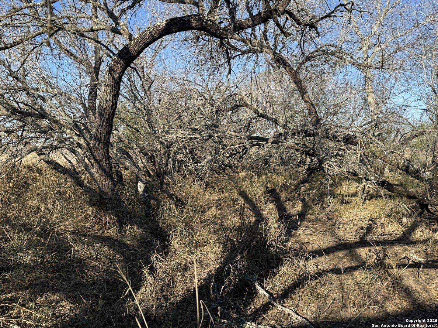 22 acres in Atascosa County - photo 28