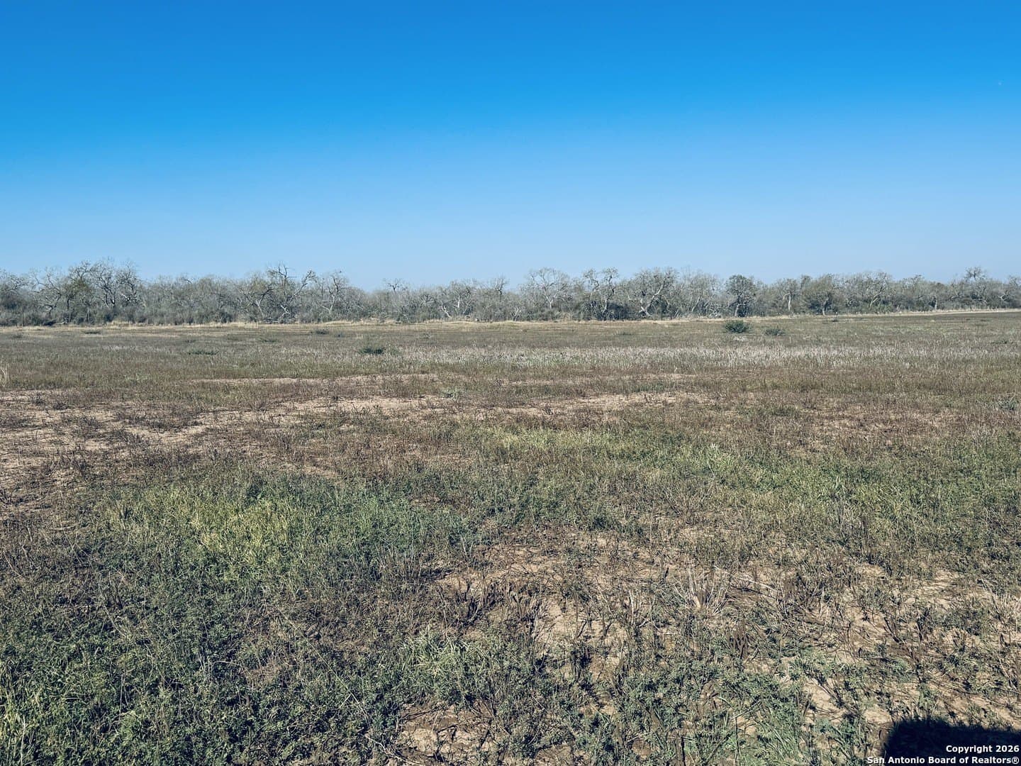 22 acres in Atascosa County - photo 13