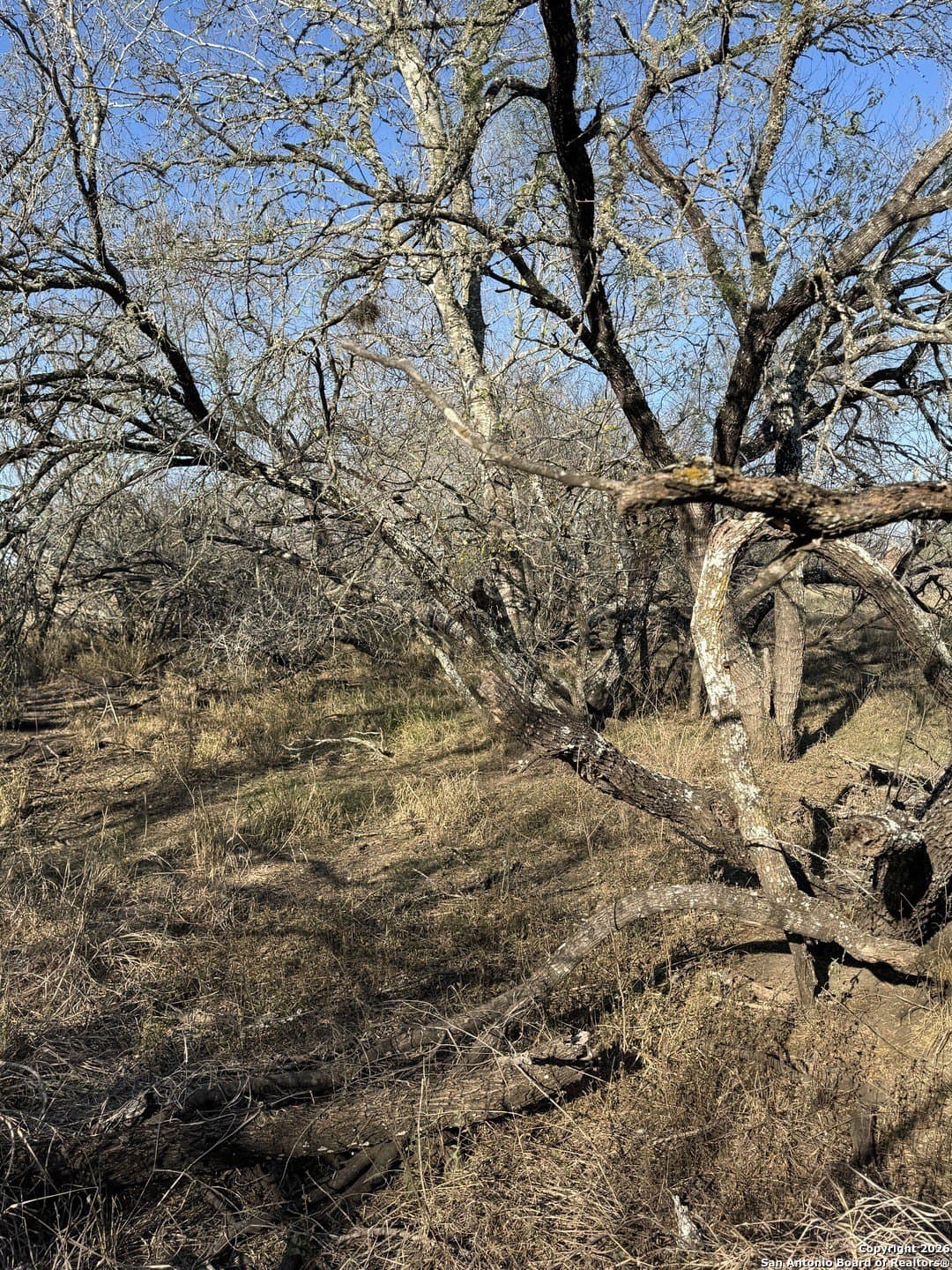 22 acres in Atascosa County - photo 30