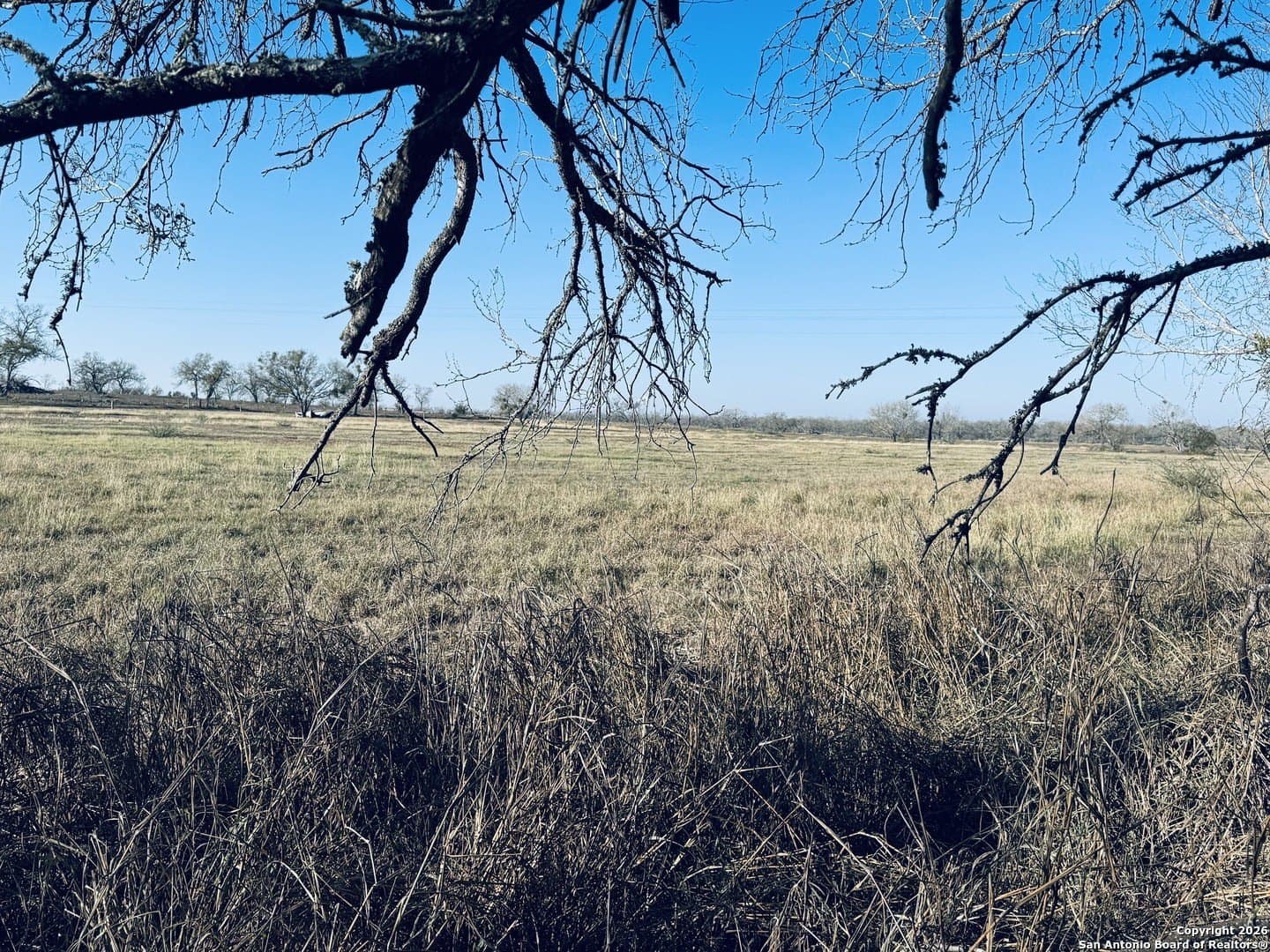 22 acres in Atascosa County - photo 27