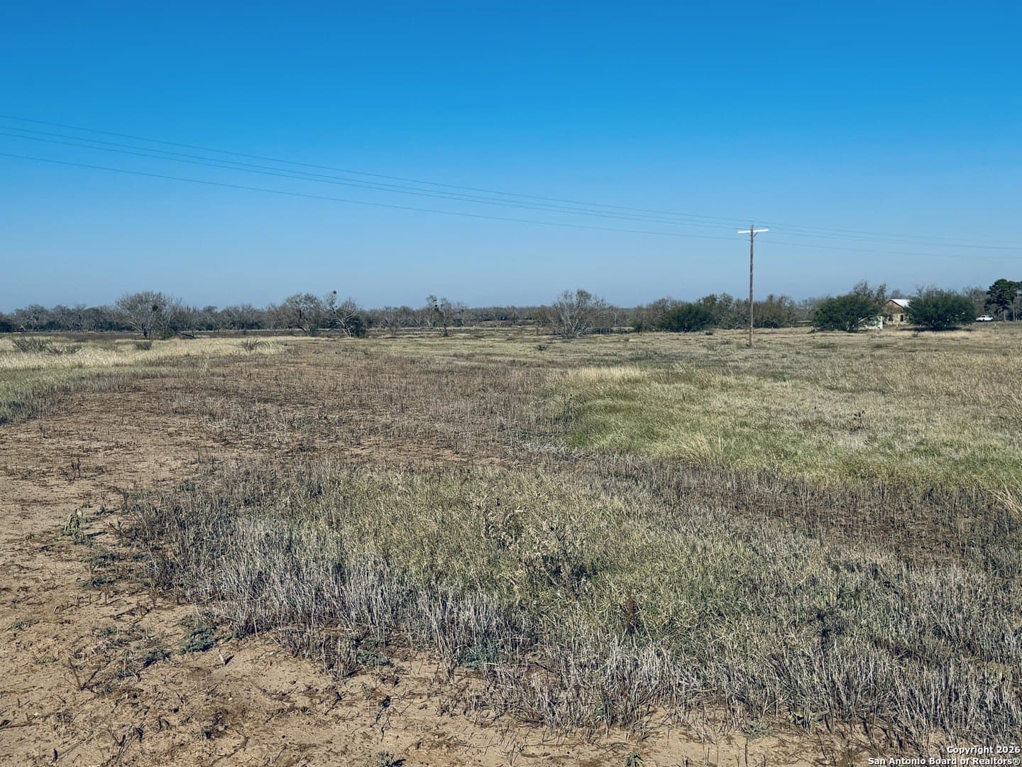 22 acres in Atascosa County - photo 20