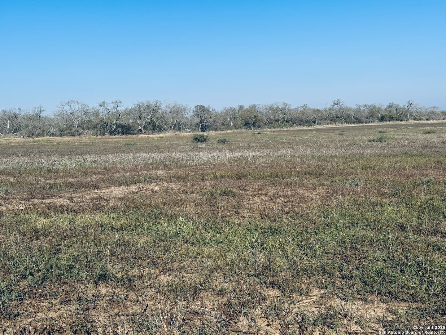 22 acres in Atascosa County - photo 14
