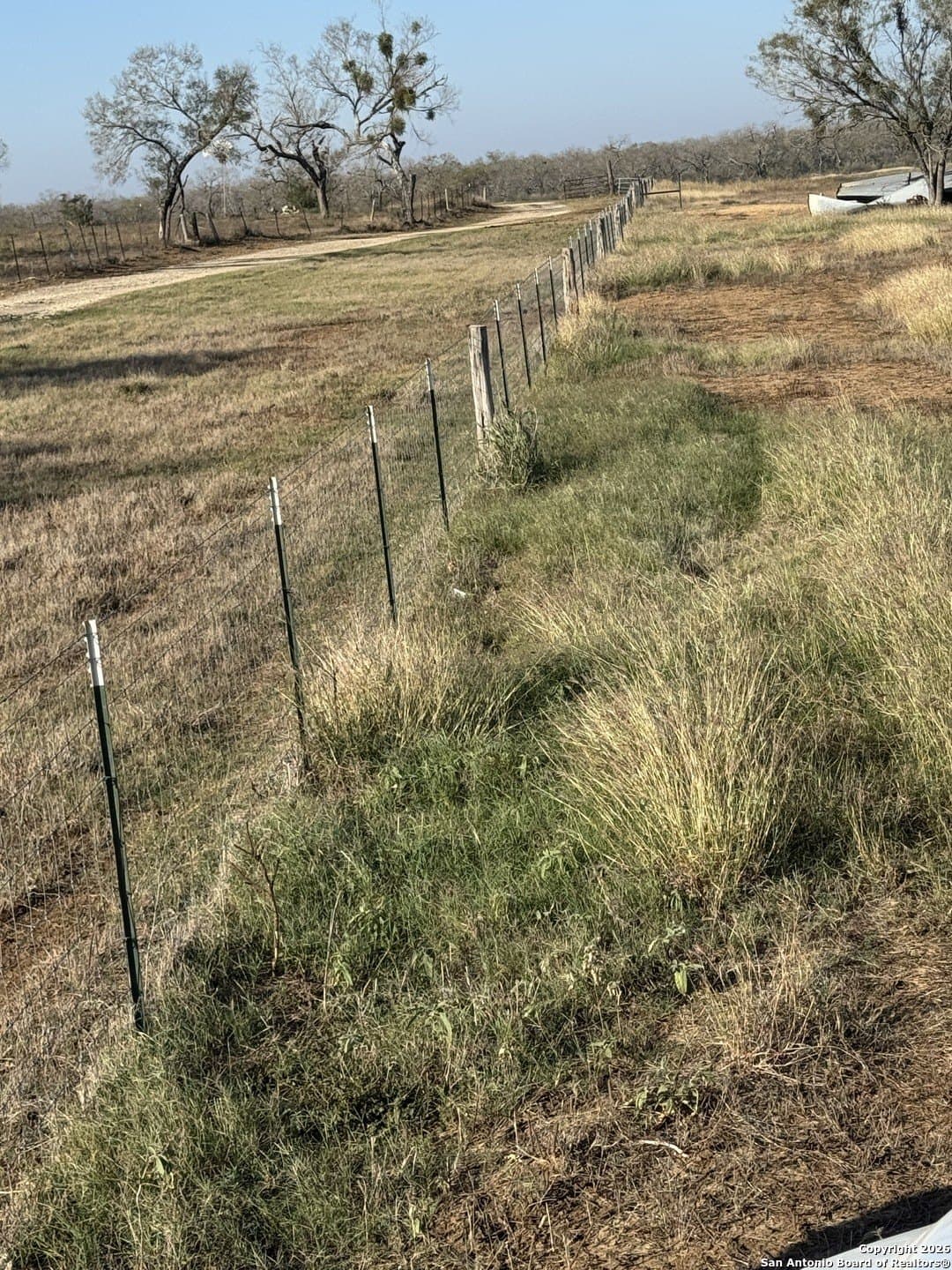 22 acres in Atascosa County gallery image 4