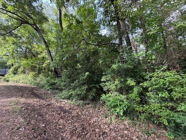 0.27 acres in Texas County gallery image 4