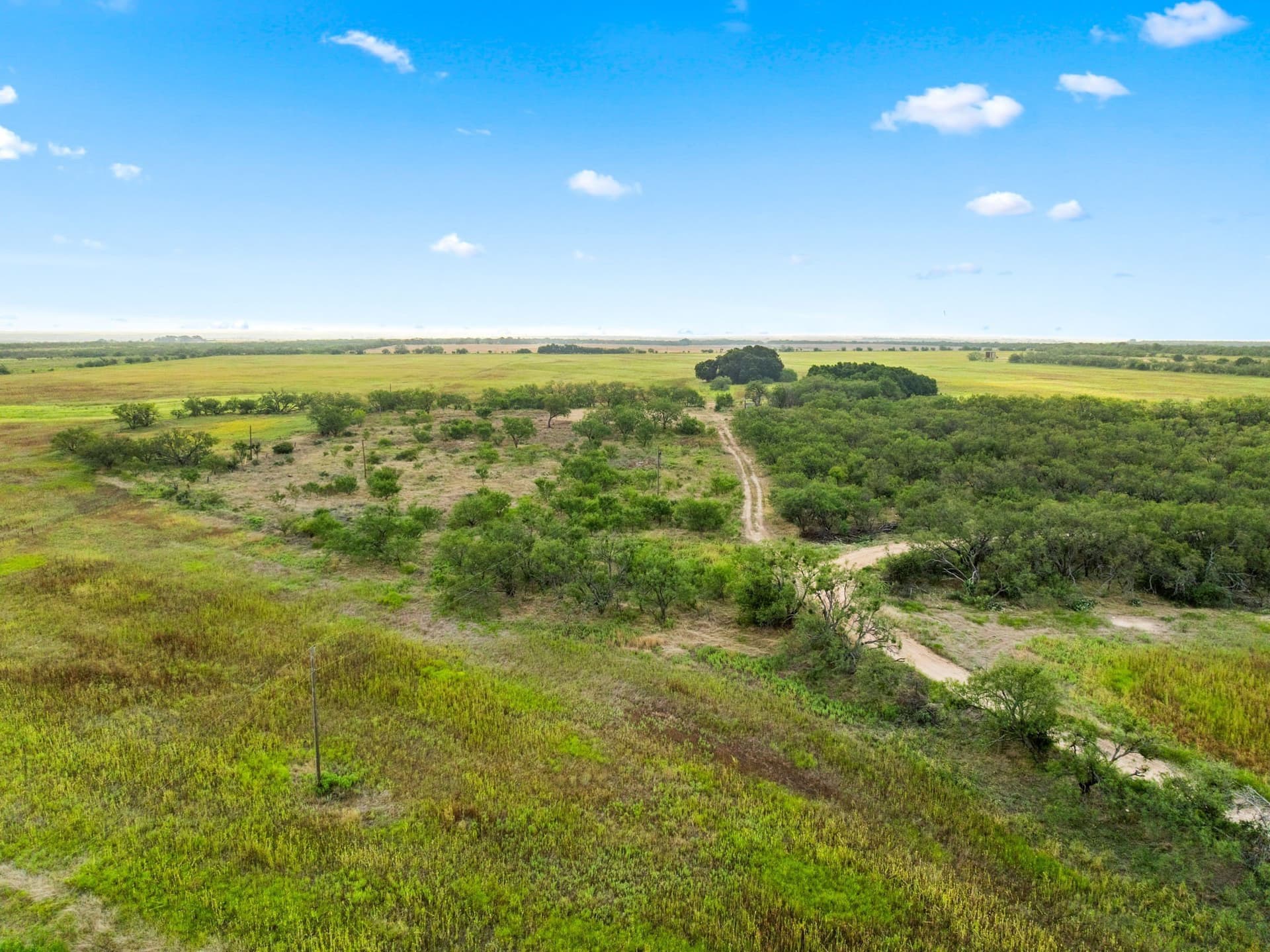 182.6 acres in Callahan County - photo 29