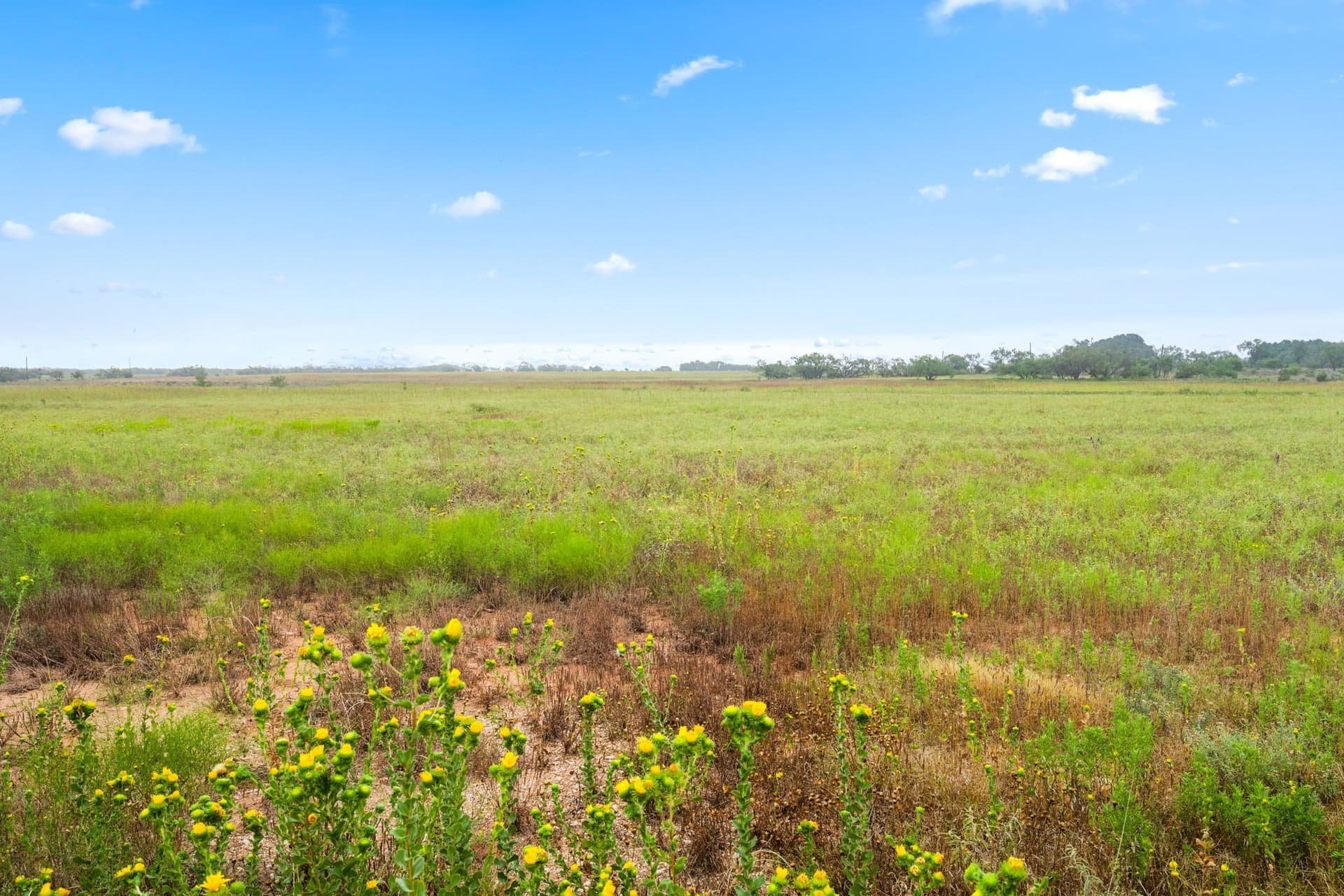 182.6 acres in Callahan County - photo 3