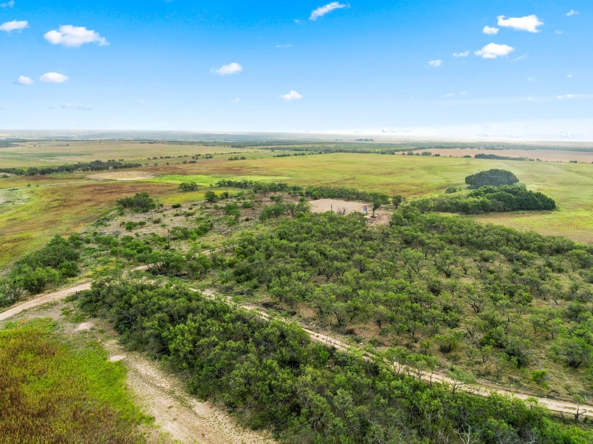 182.6 acres in Callahan County - photo 26