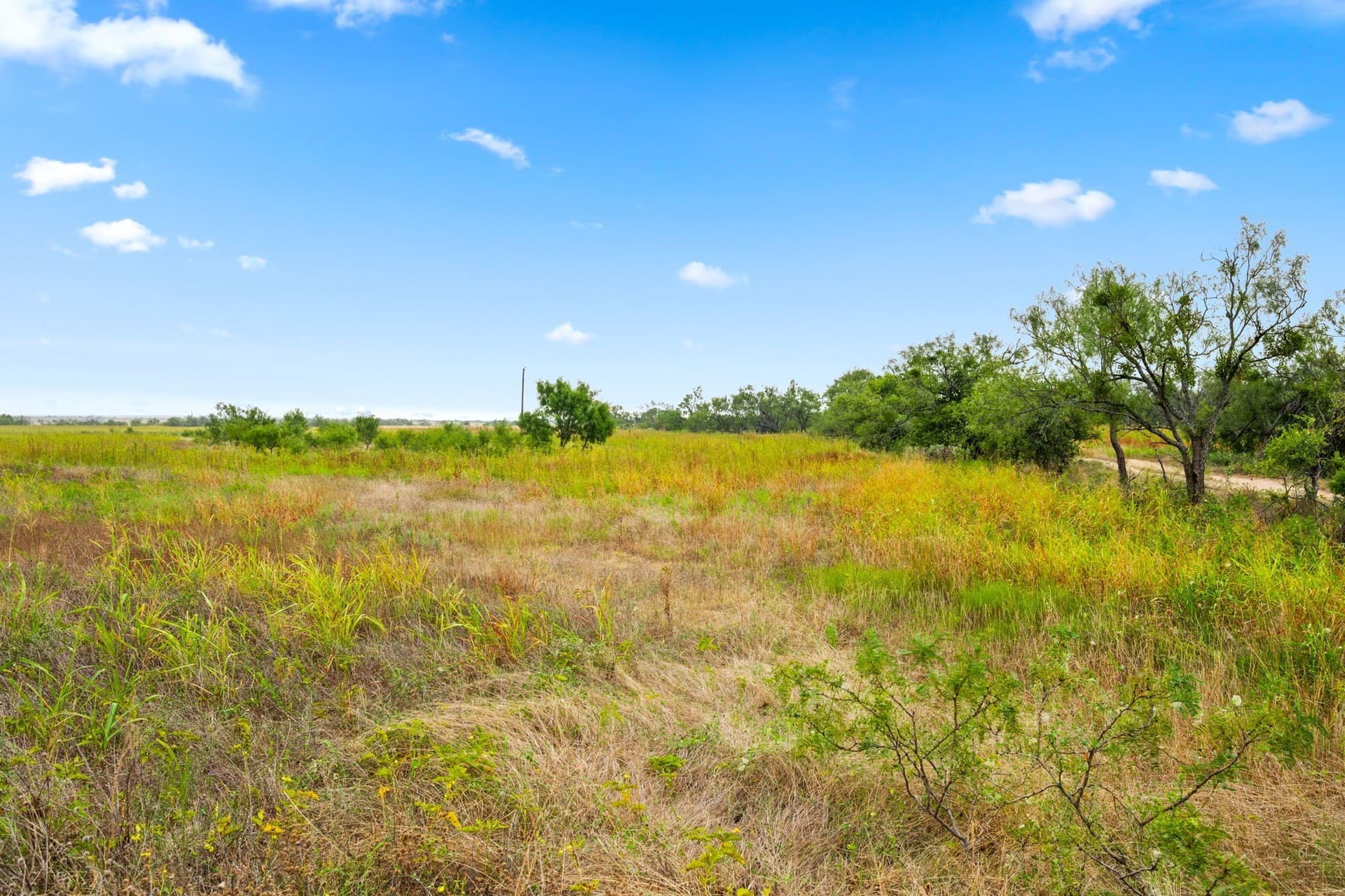 182.6 acres in Callahan County - photo 4