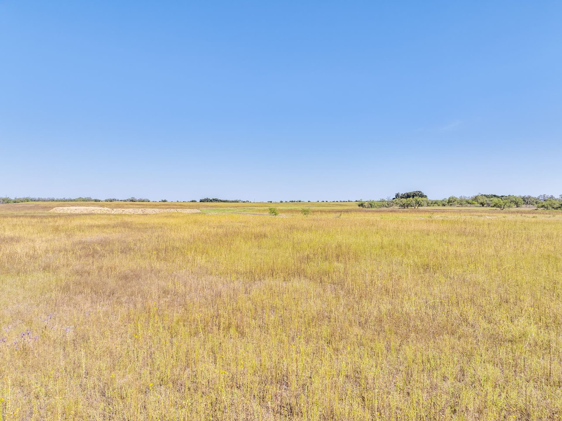 182.6 acres in Callahan County - photo 40