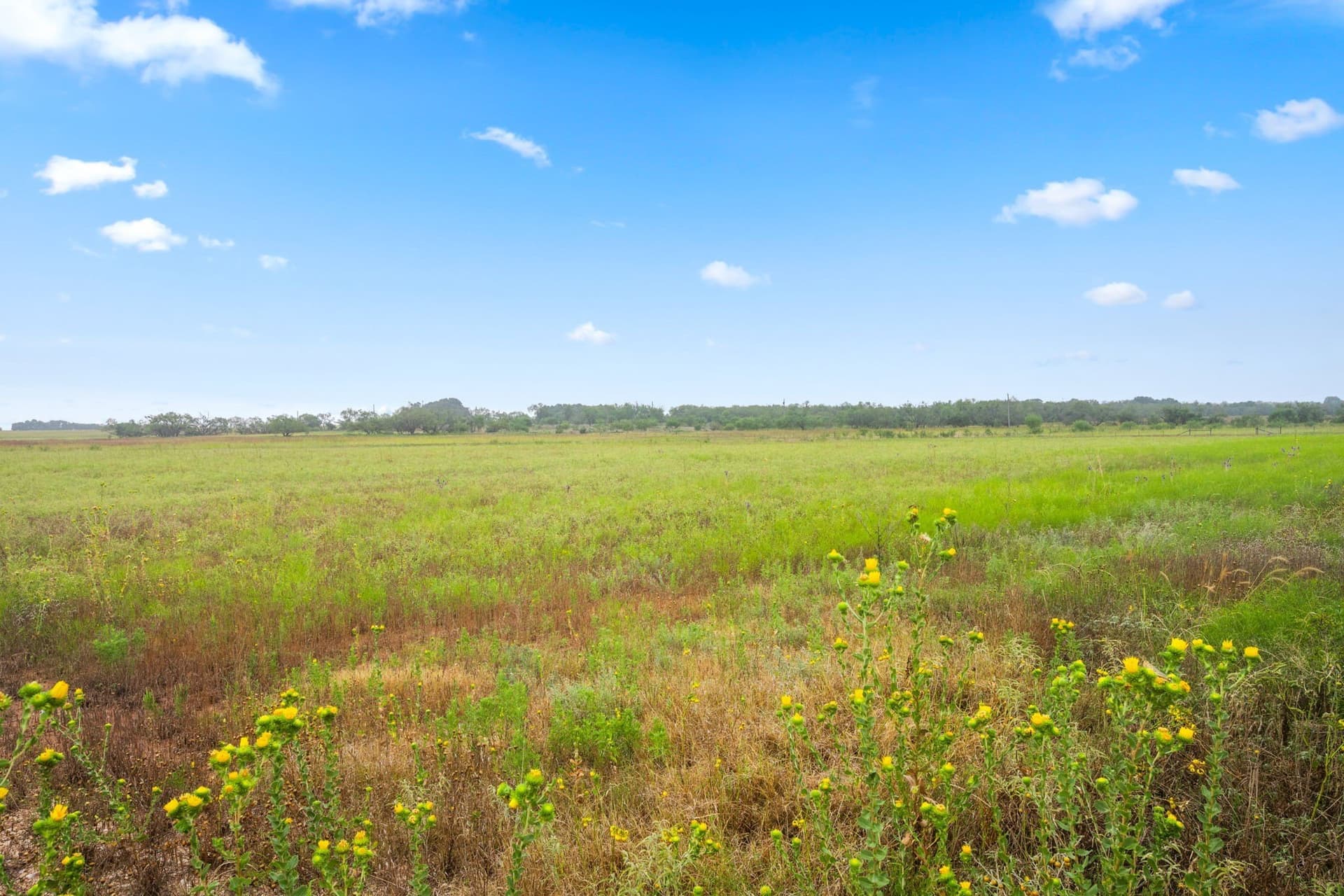 182.6 acres in Callahan County - photo 2