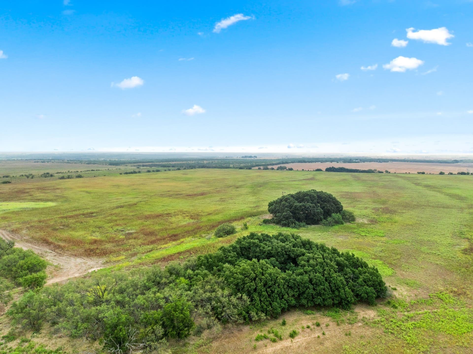 182.6 acres in Callahan County - photo 16