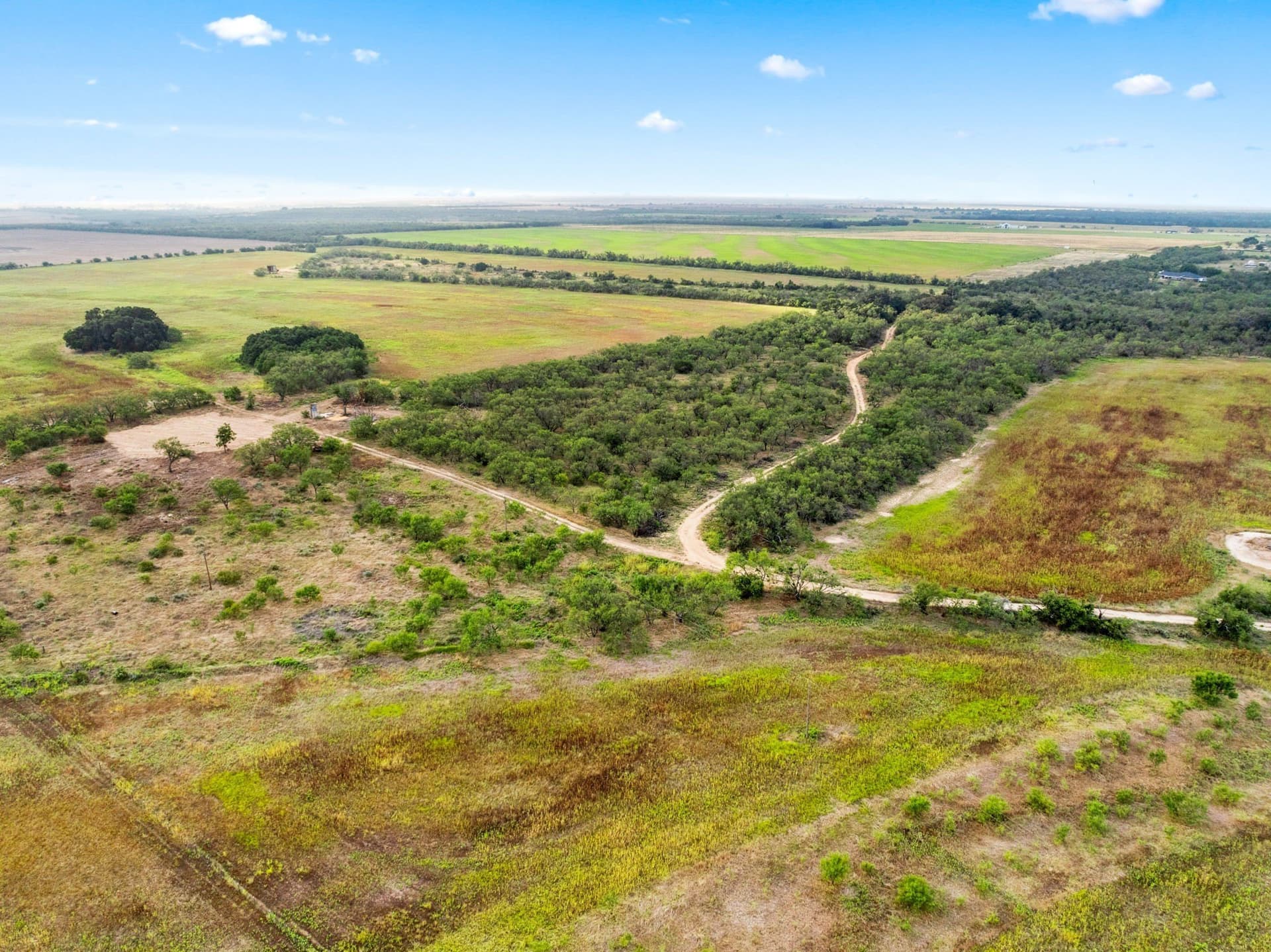 182.6 acres in Callahan County - photo 34
