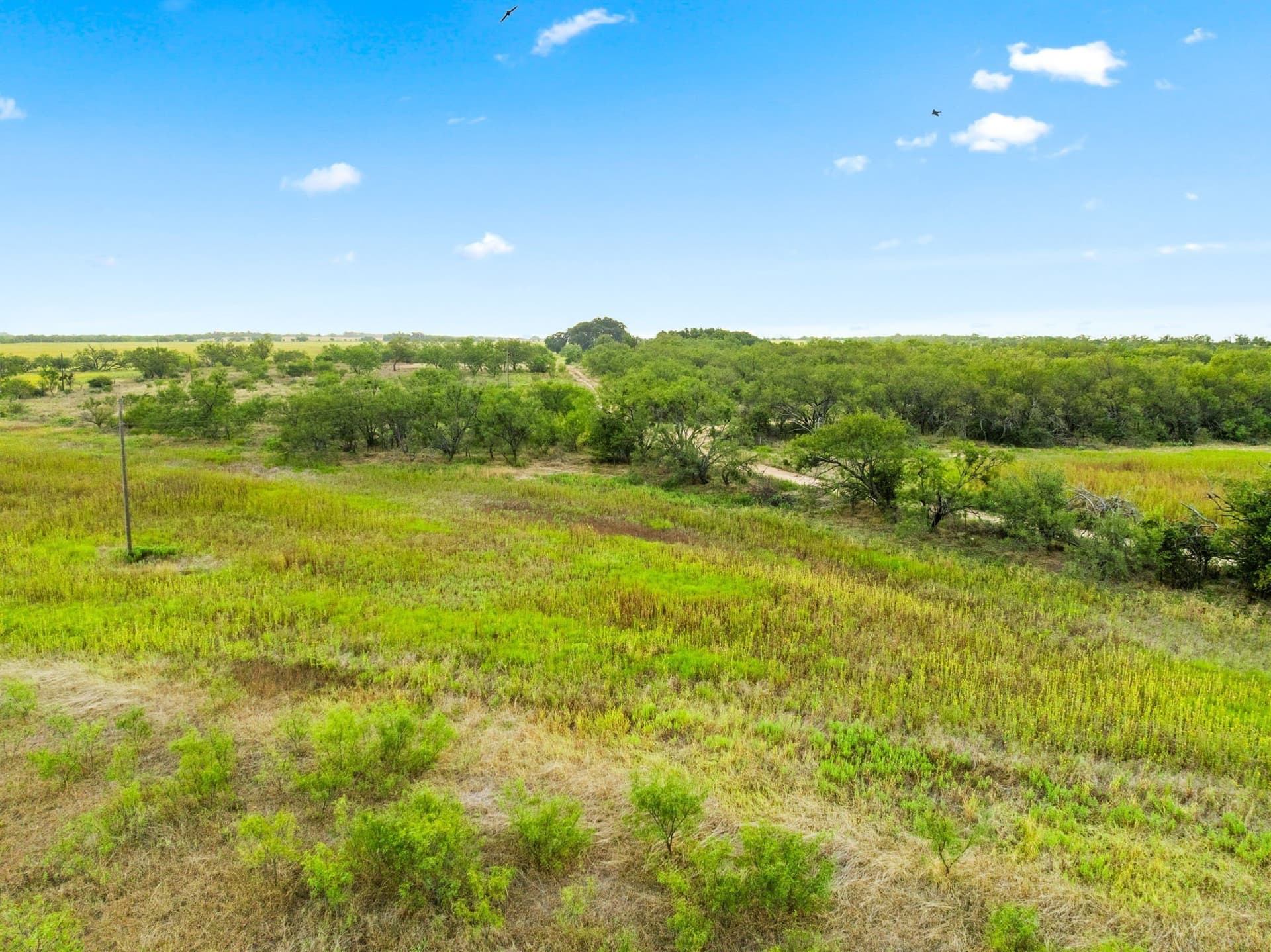 182.6 acres in Callahan County - photo 28