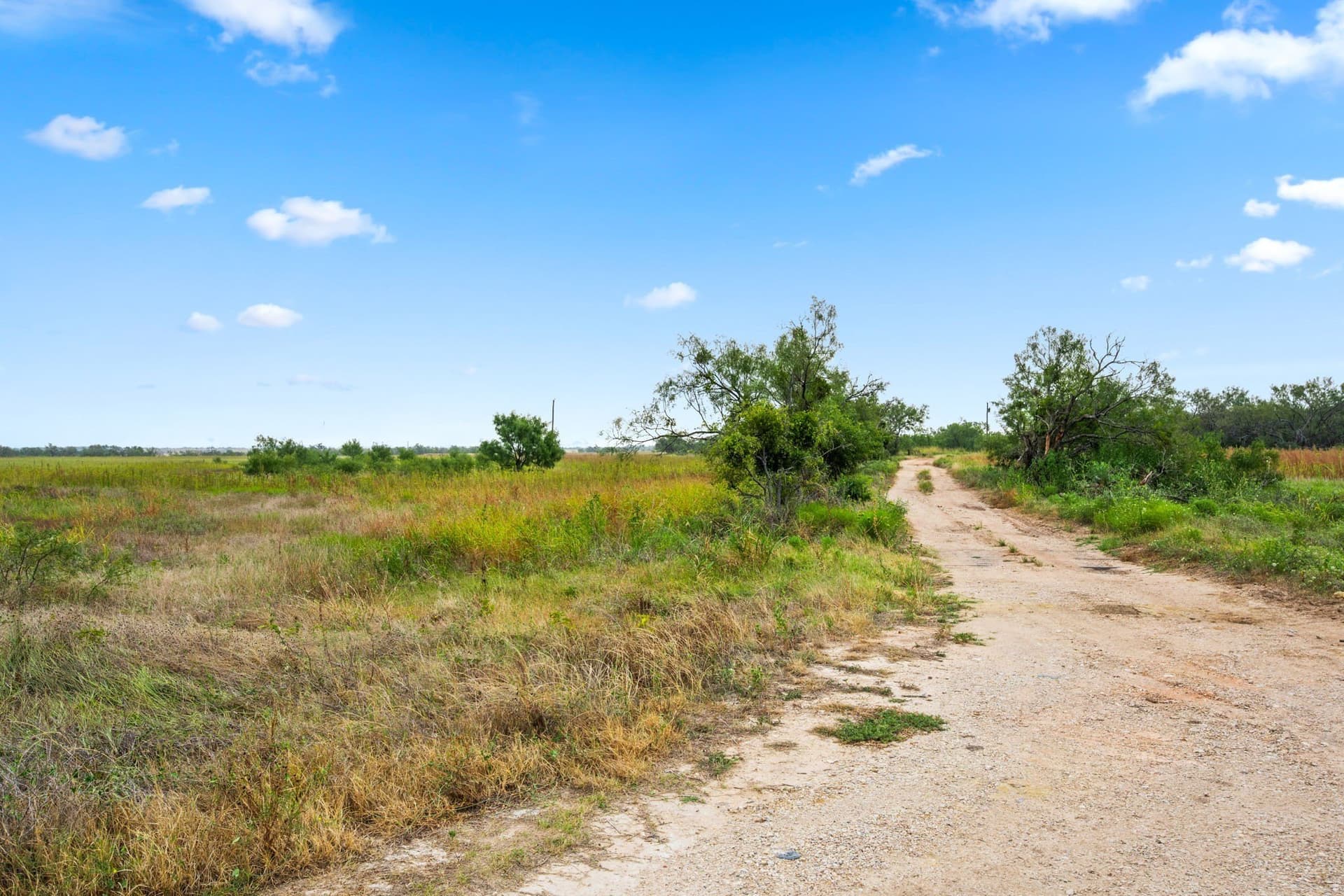 182.6 acres in Callahan County - photo 6