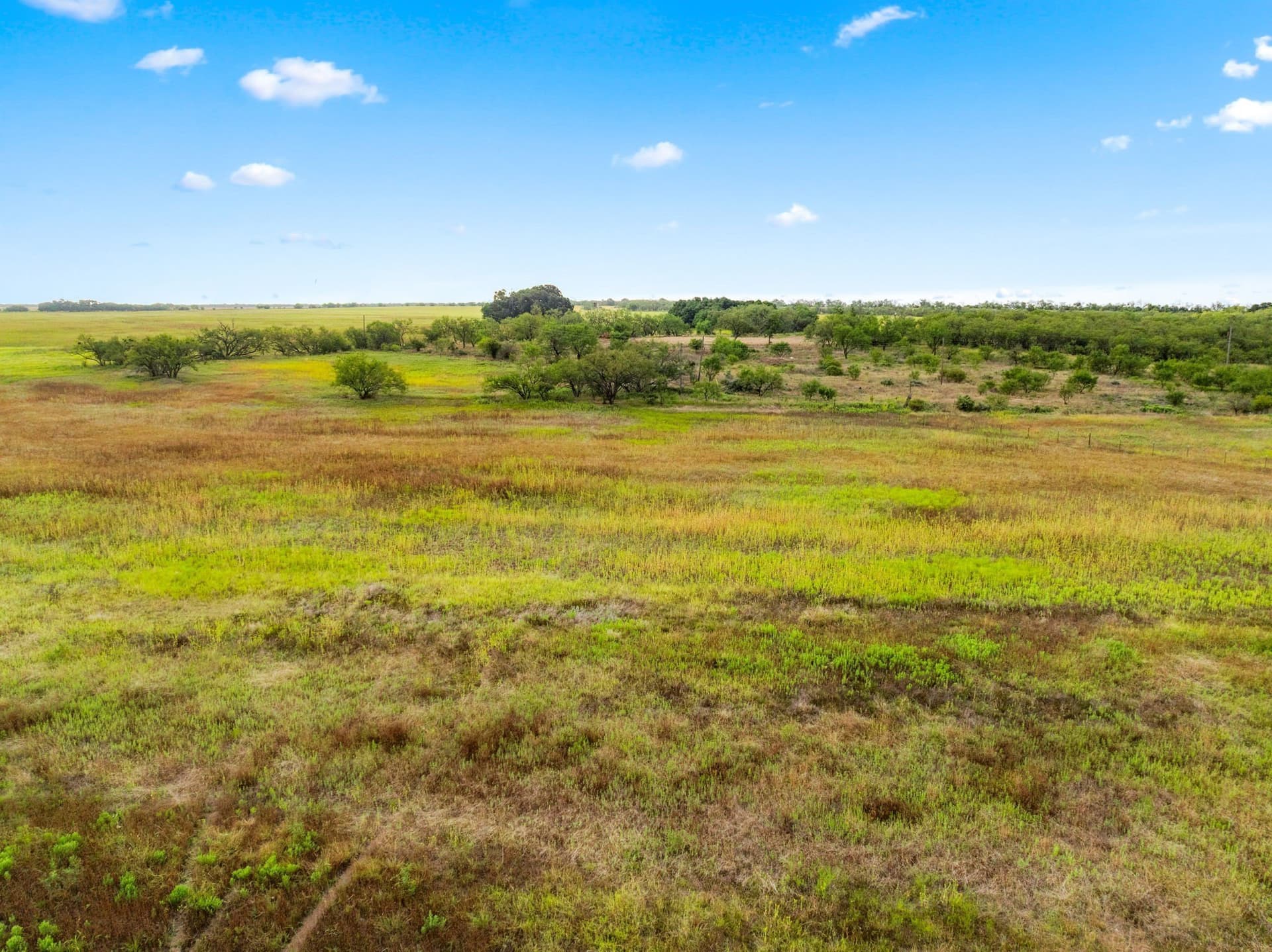 182.6 acres in Callahan County - photo 35