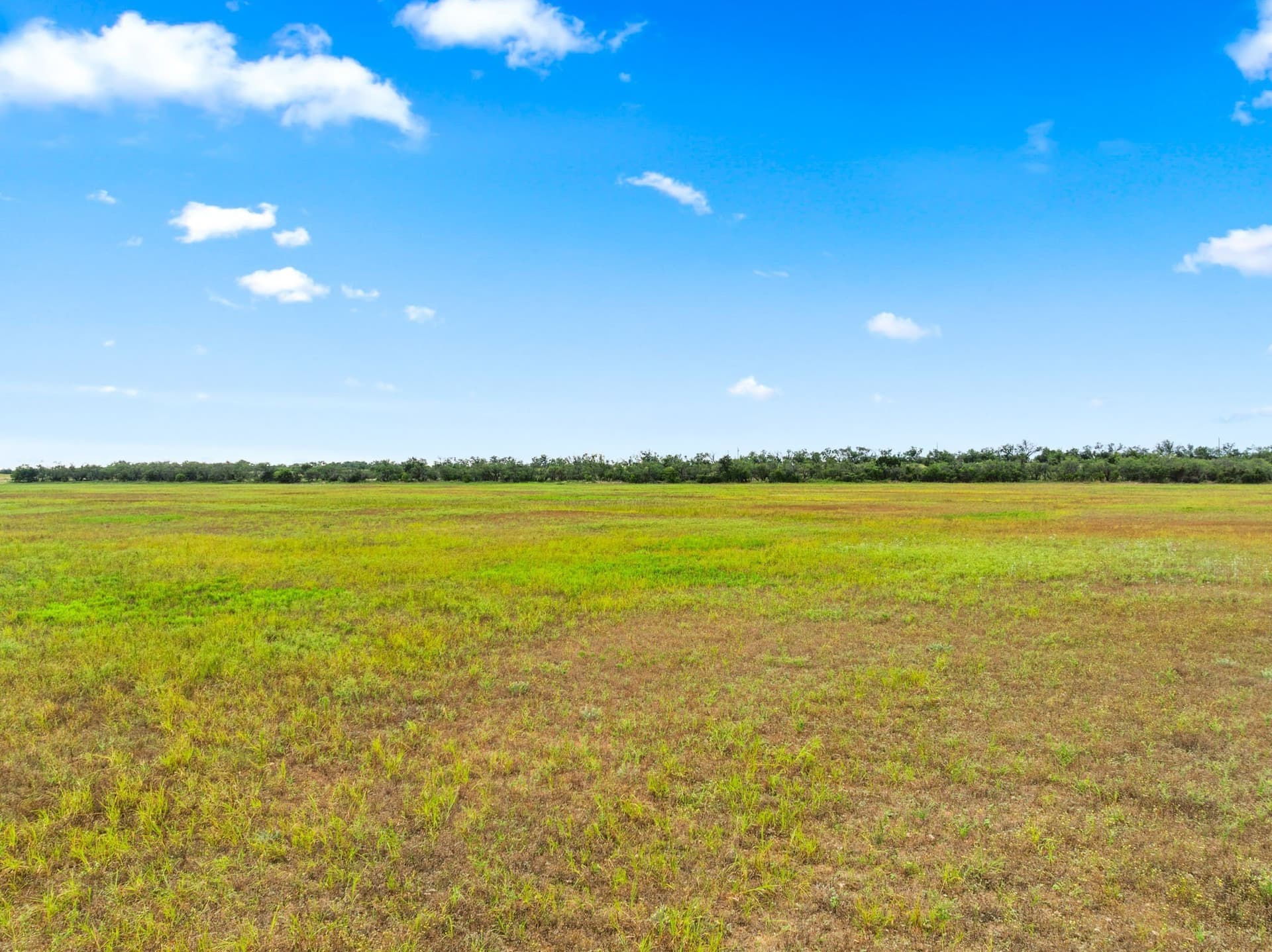 182.6 acres in Callahan County - photo 15