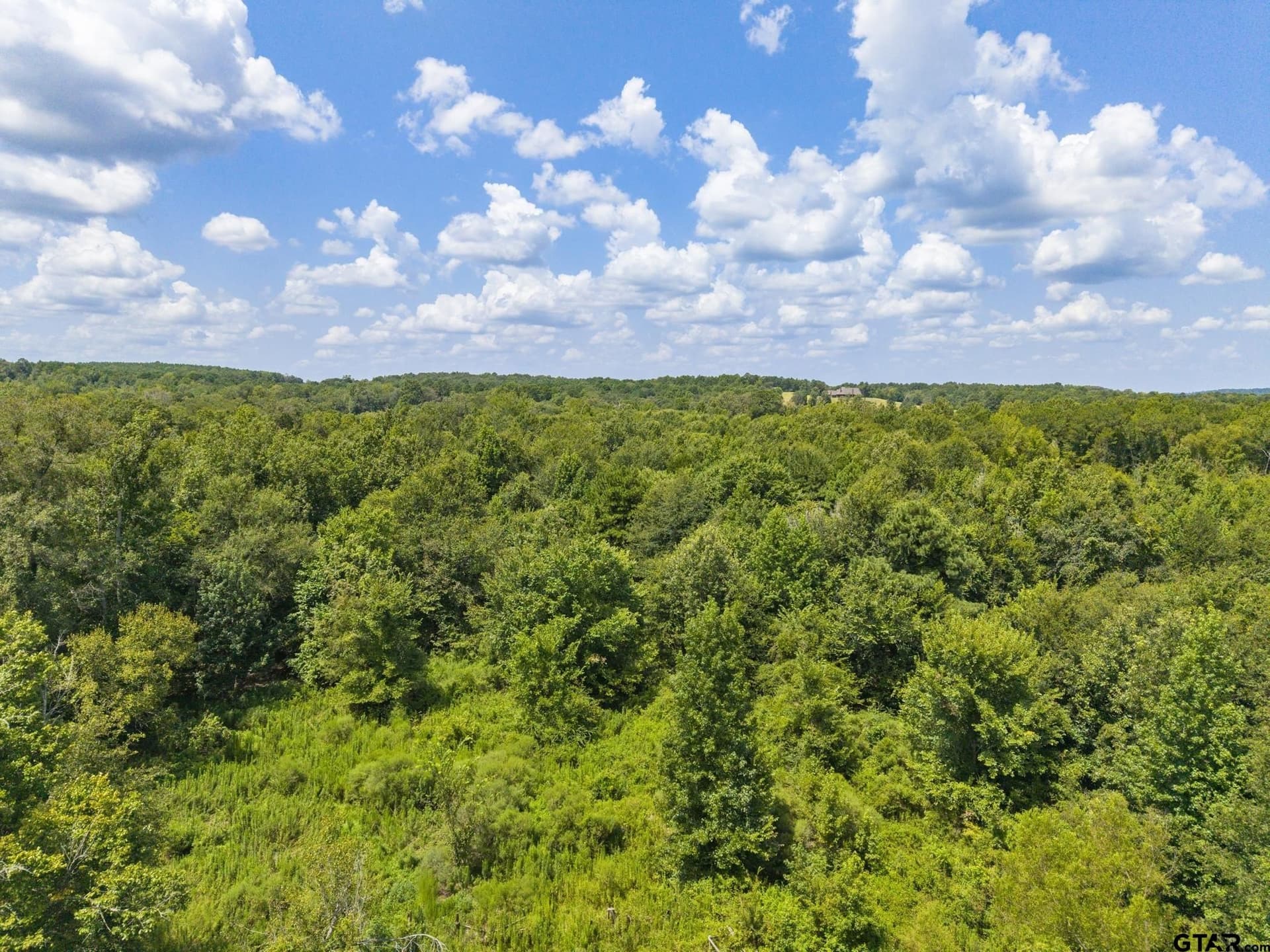 8.62 acres in Harrison County - photo 7