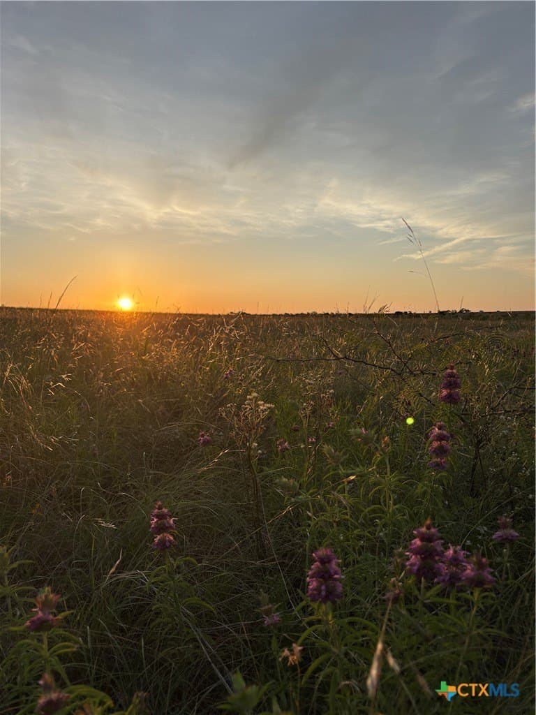 225 acres in Hamilton County - photo 13