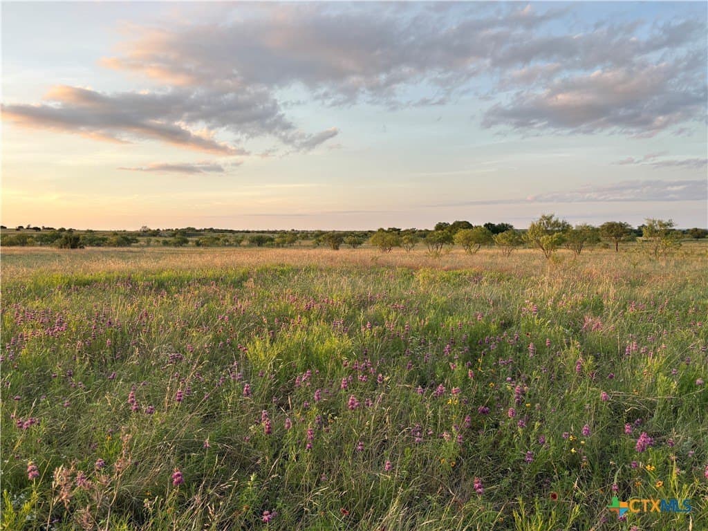 225 acres in Hamilton County - photo 12