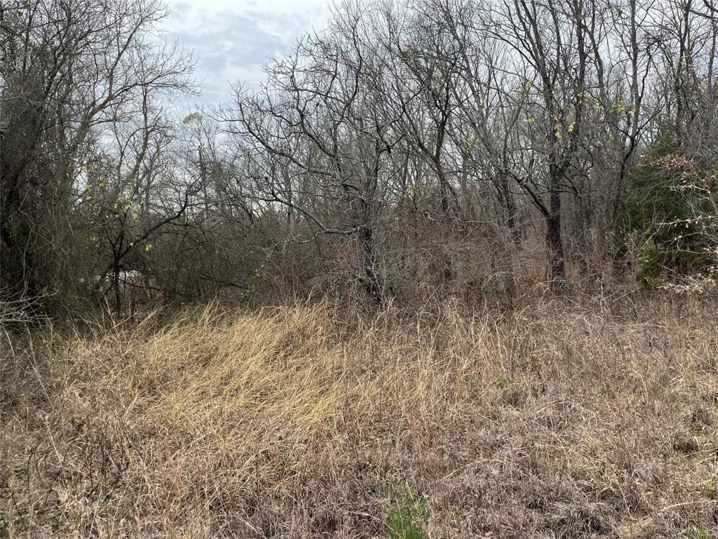 24.78 acres in Montague County gallery image 3