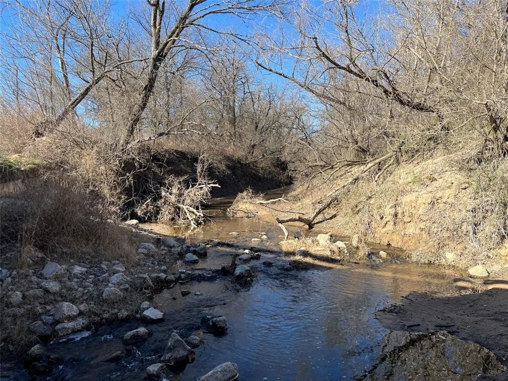 24.78 acres in Montague County gallery image 4