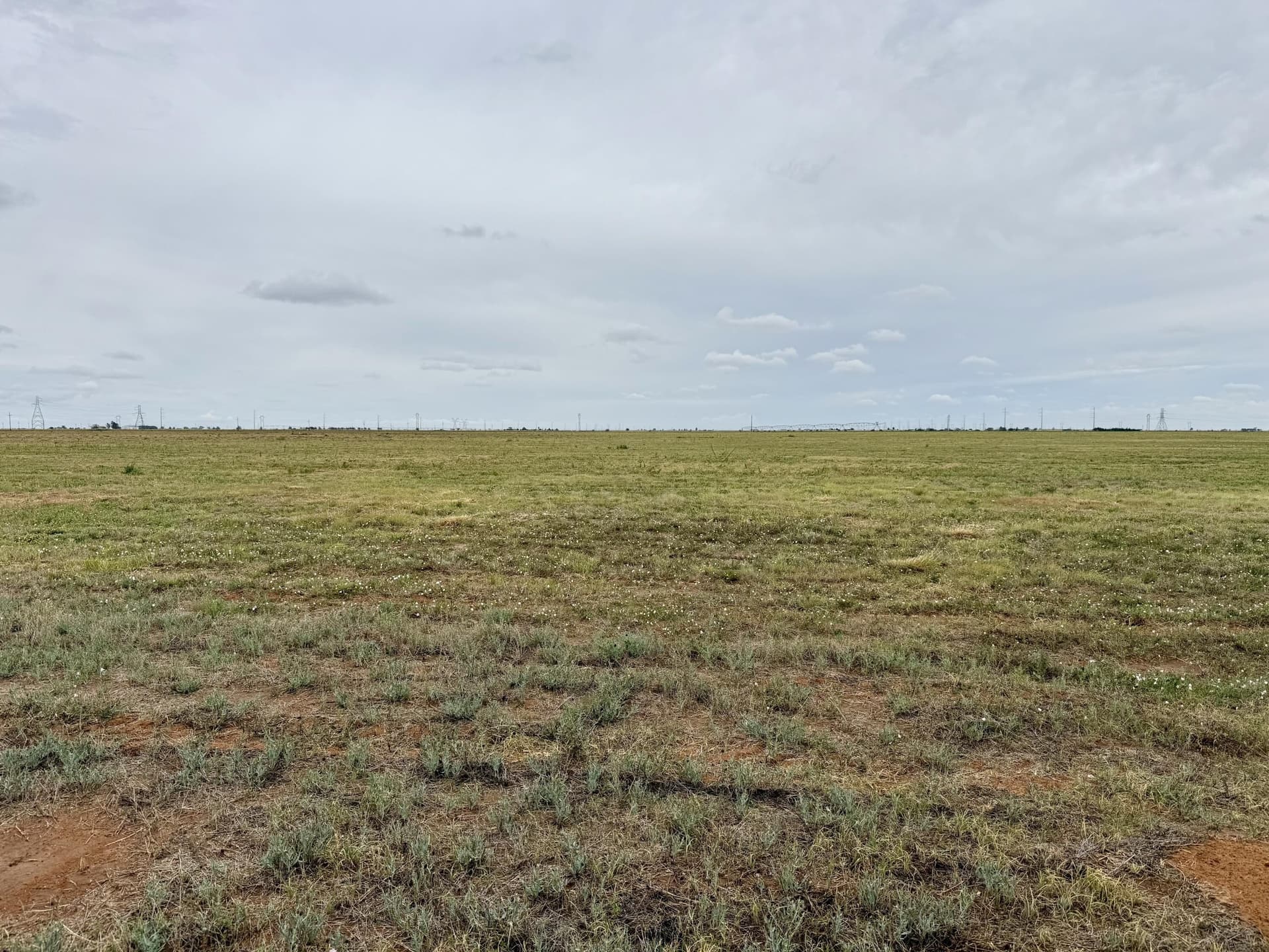 12.03 acres in Hale County