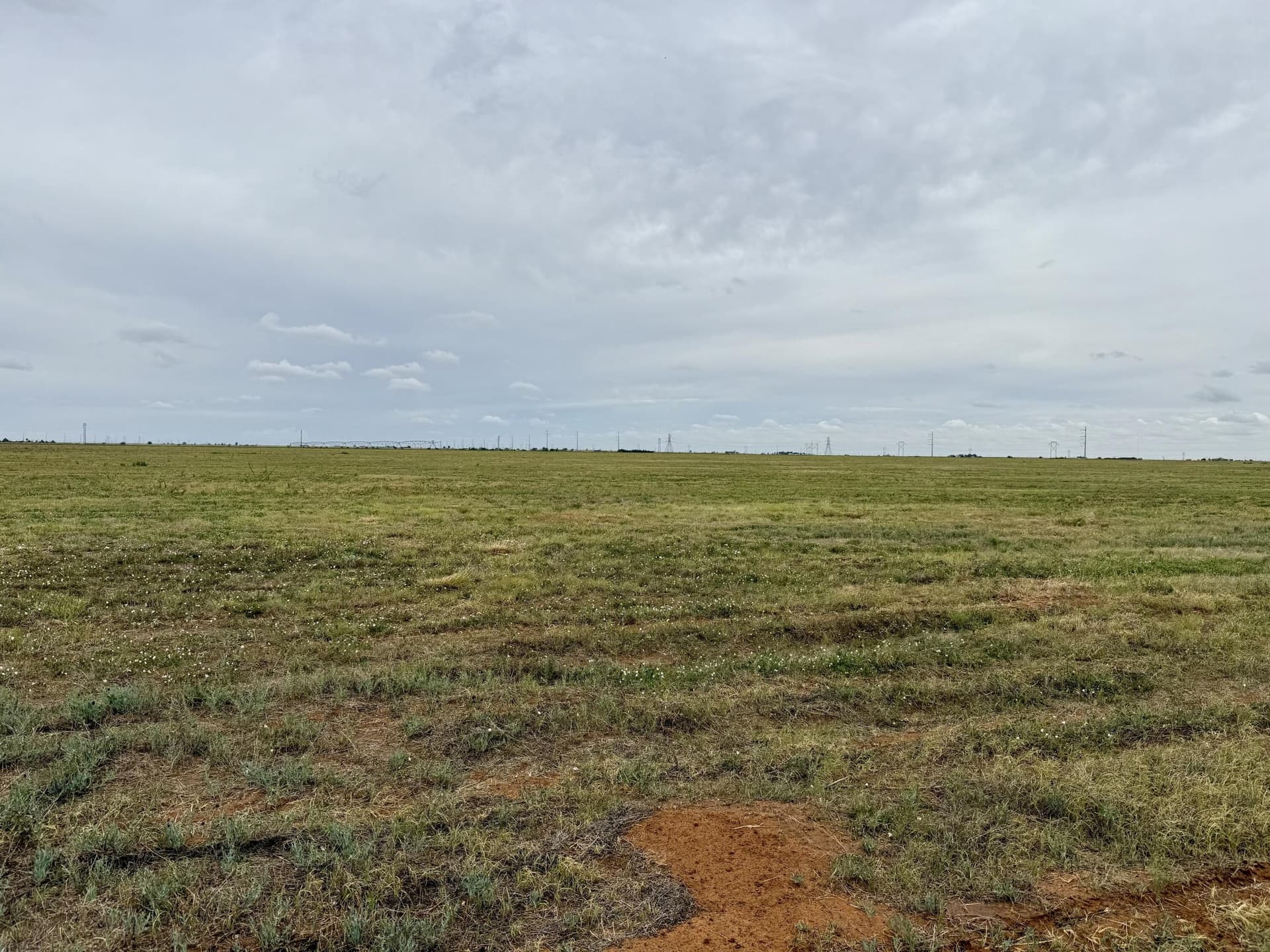 12.03 acres in Hale County gallery image 2