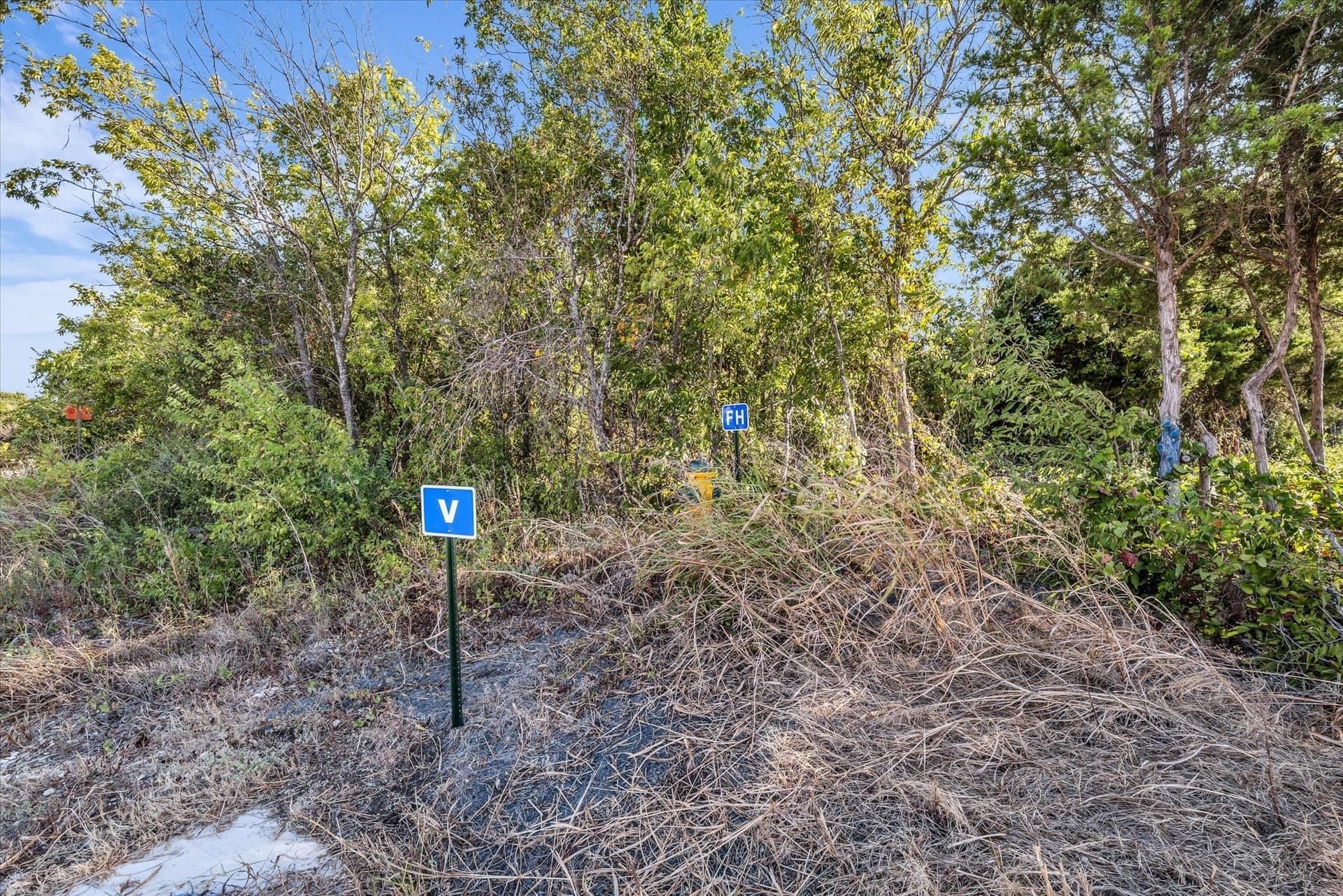 1 acres in McLennan County - photo 9