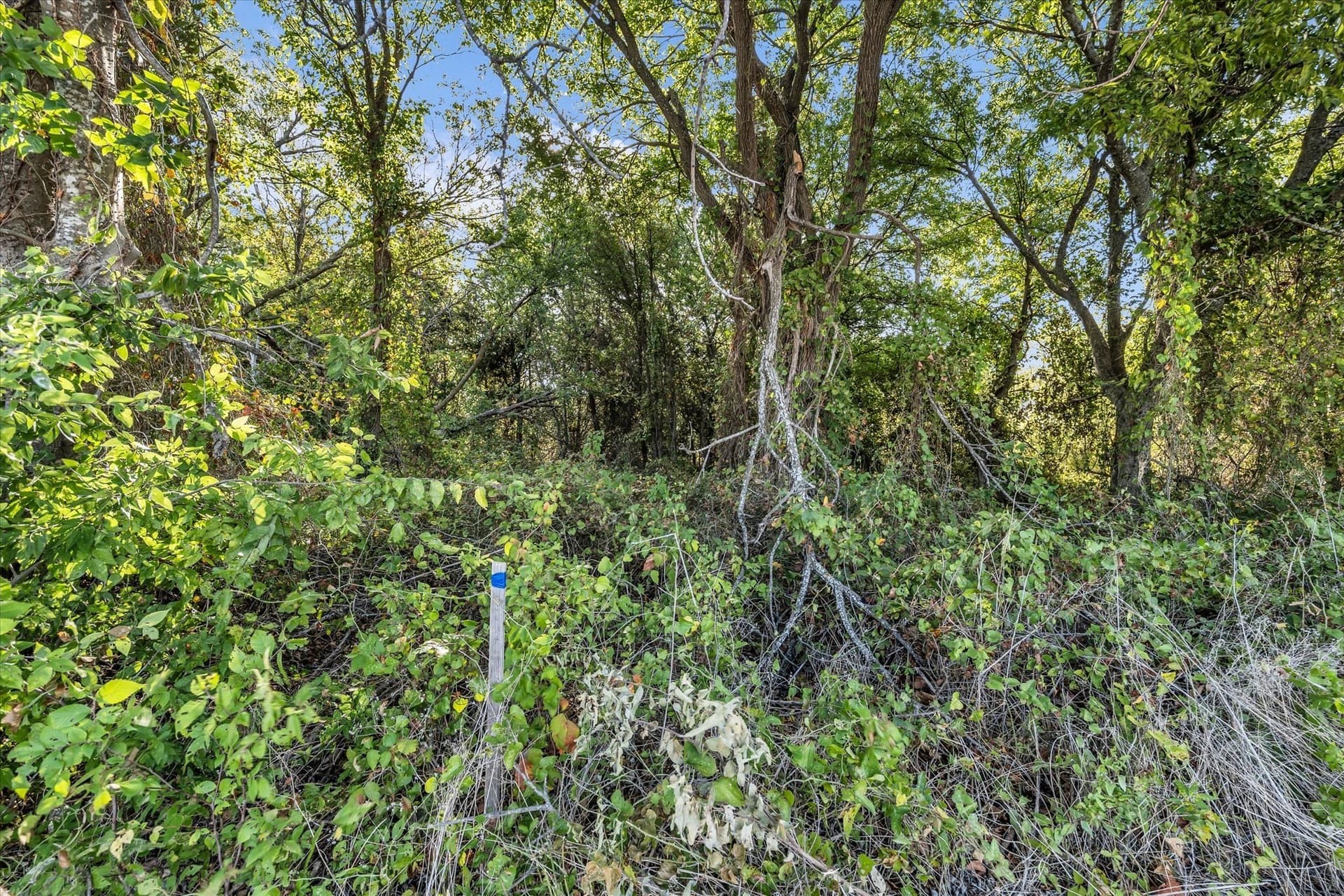 1 acres in McLennan County - photo 4