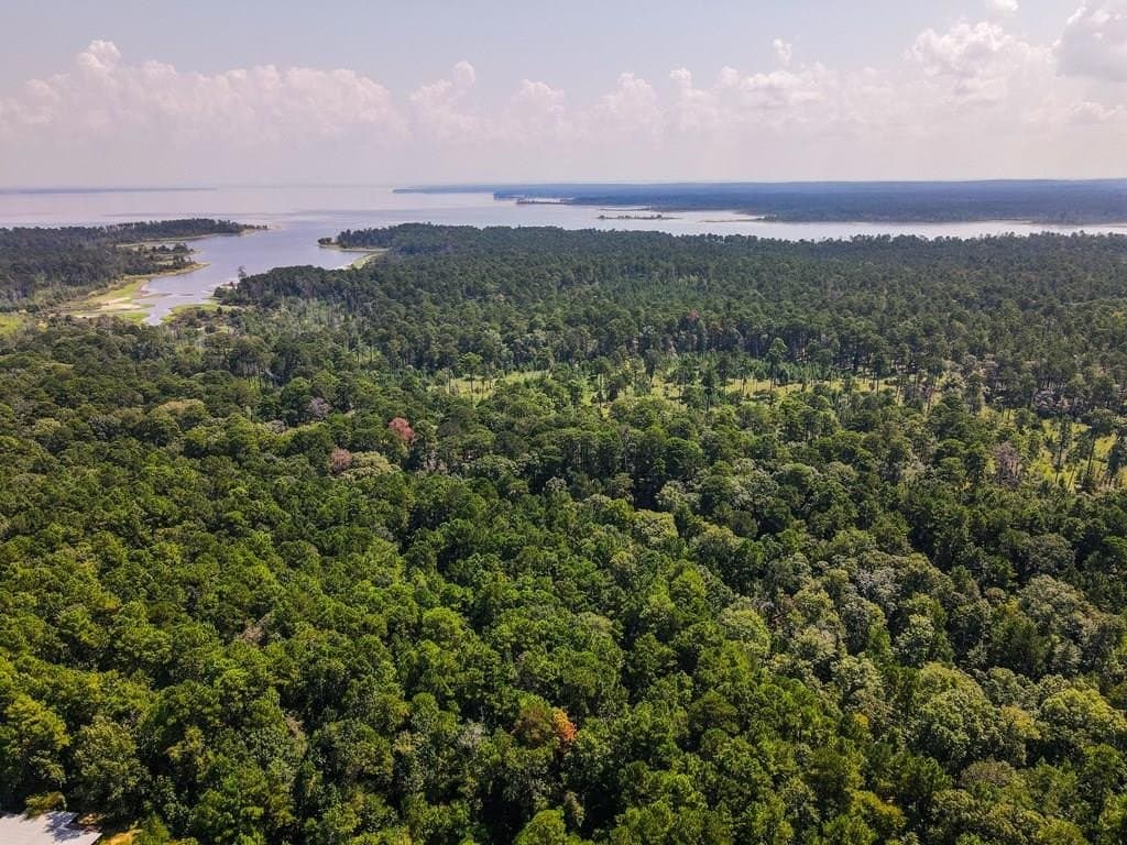 38.17 acres in Texas County
